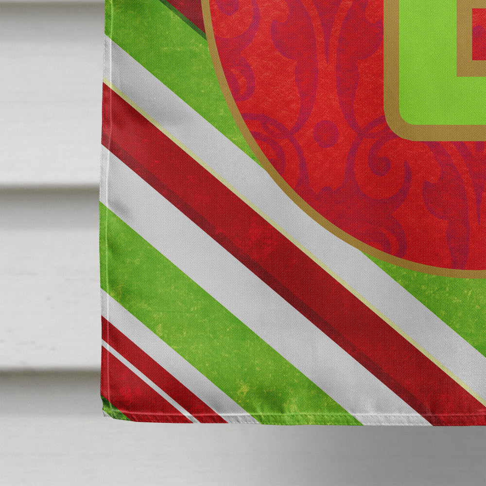 Christmas Oranment Holiday Letter E Monogram Initial Flag  House Size