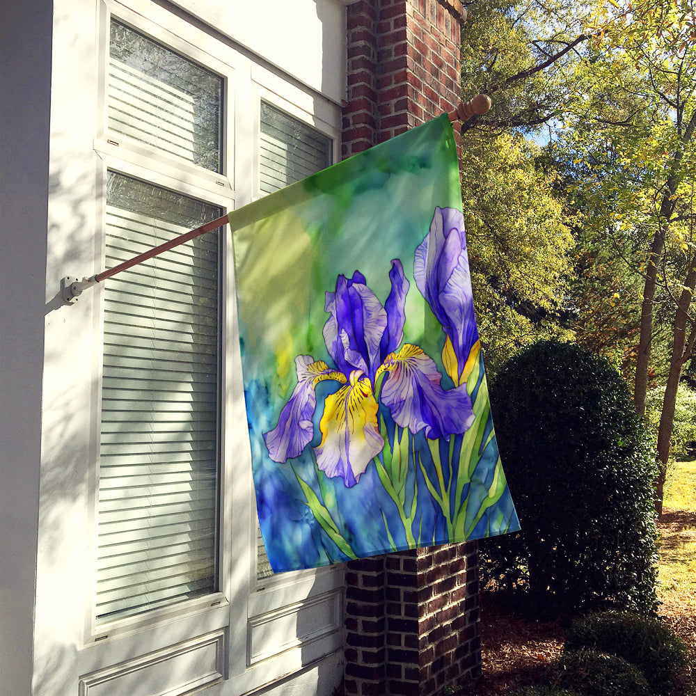 Tennessee Iris in Watercolor House Flag