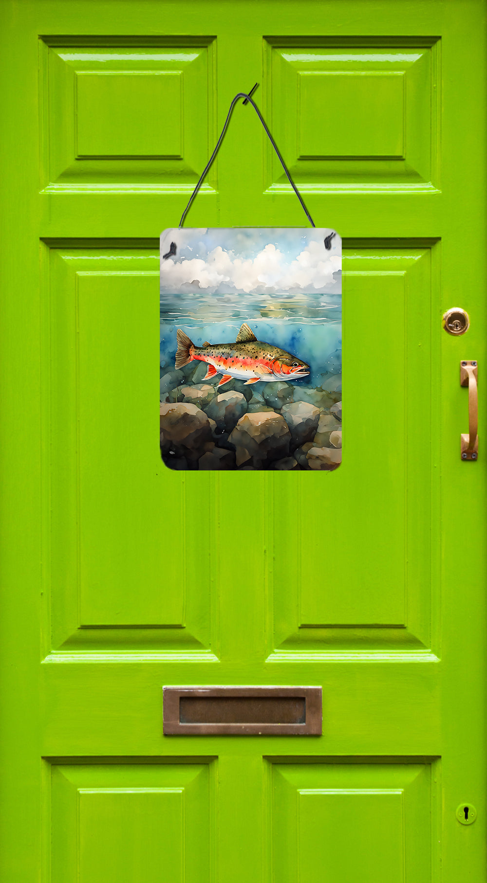 Buy this Brook Trout Wall or Door Hanging Prints