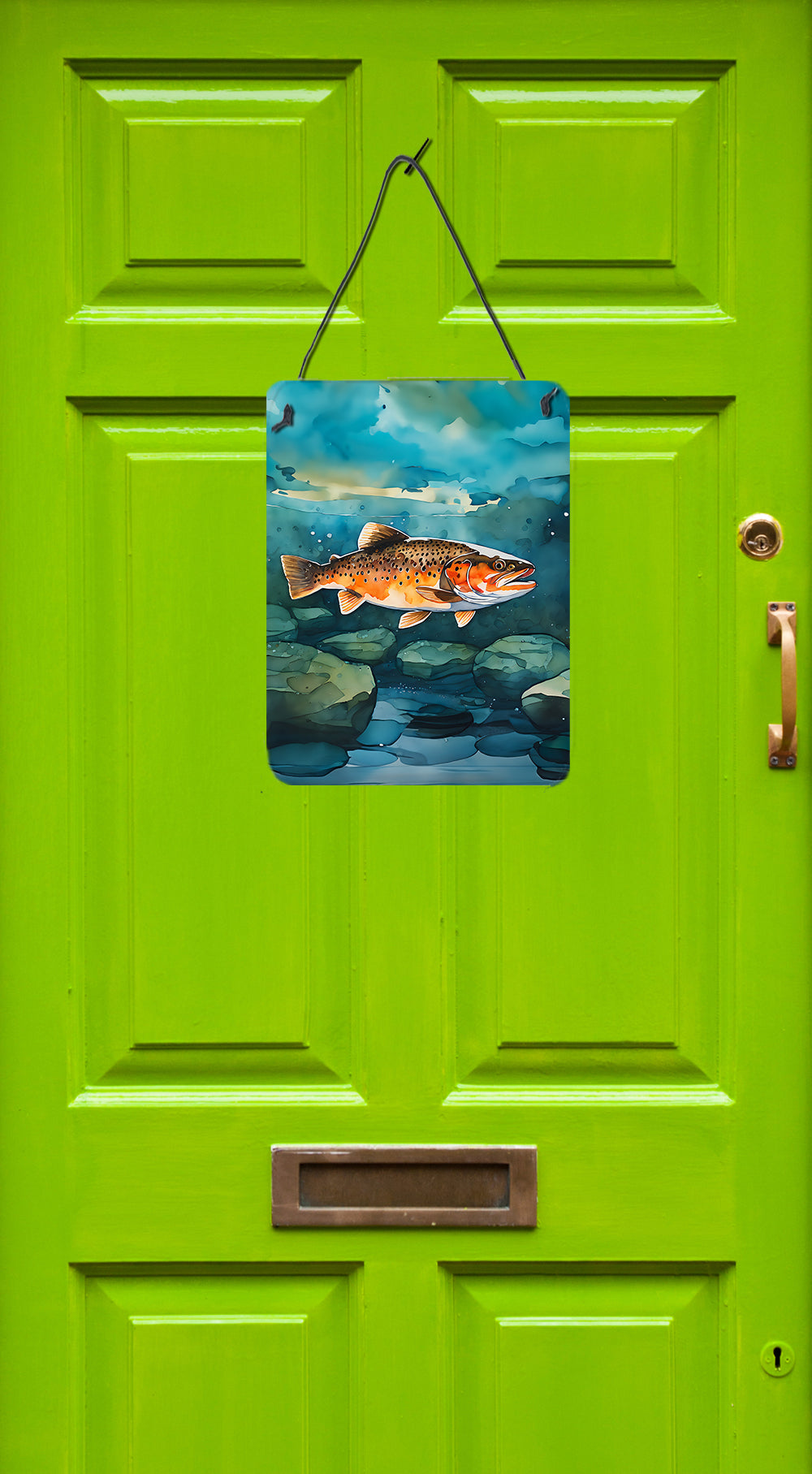 Buy this Brown Trout Wall or Door Hanging Prints