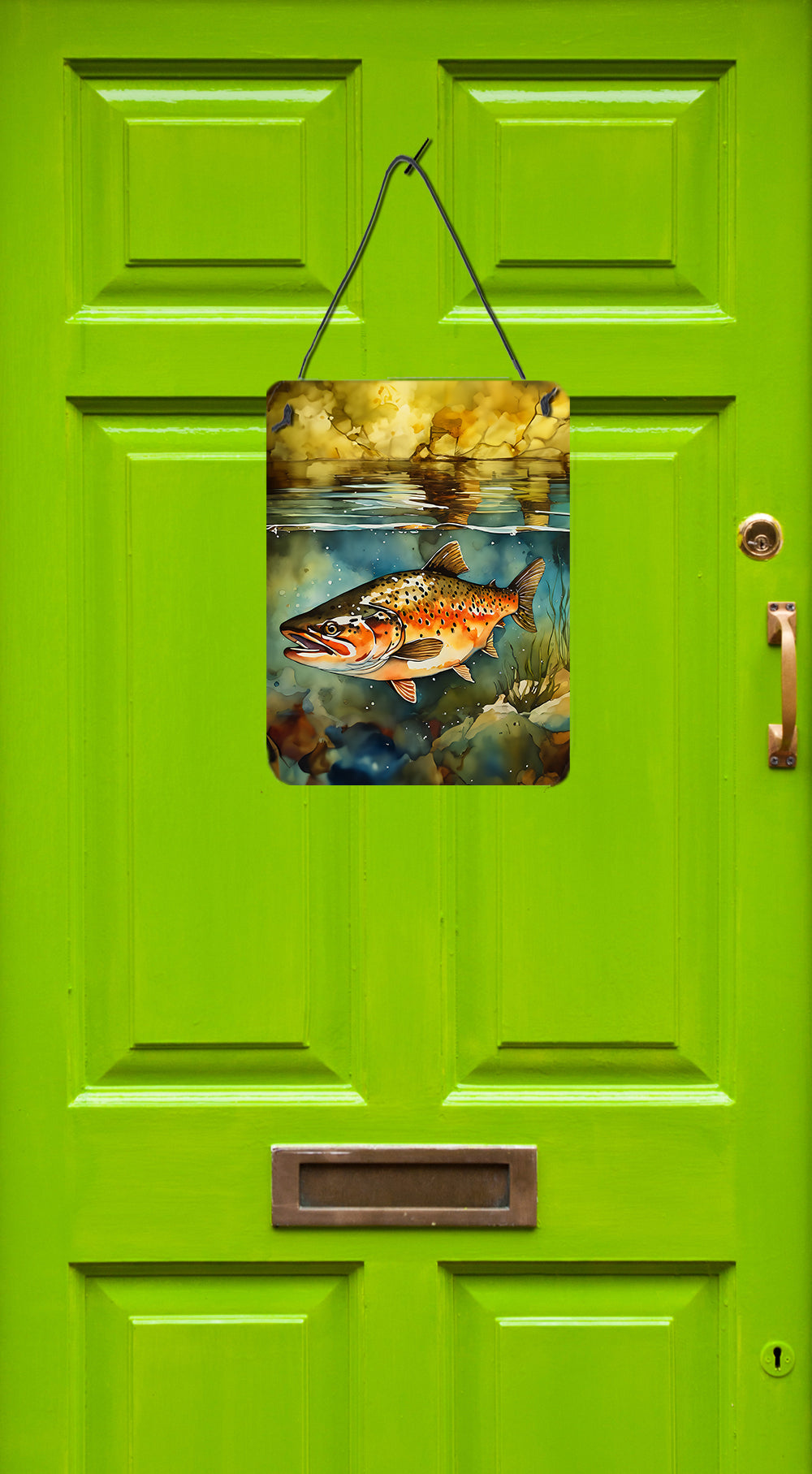 Buy this Brown Trout Wall or Door Hanging Prints