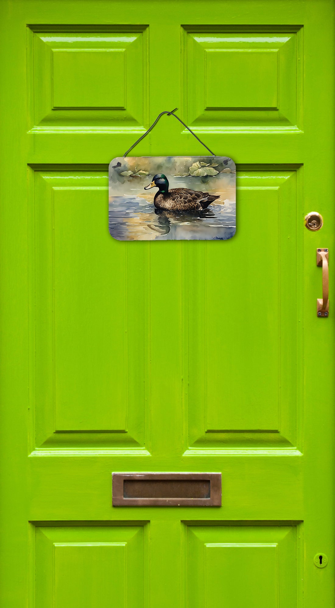 Buy this American Black Duck Wall or Door Hanging Prints