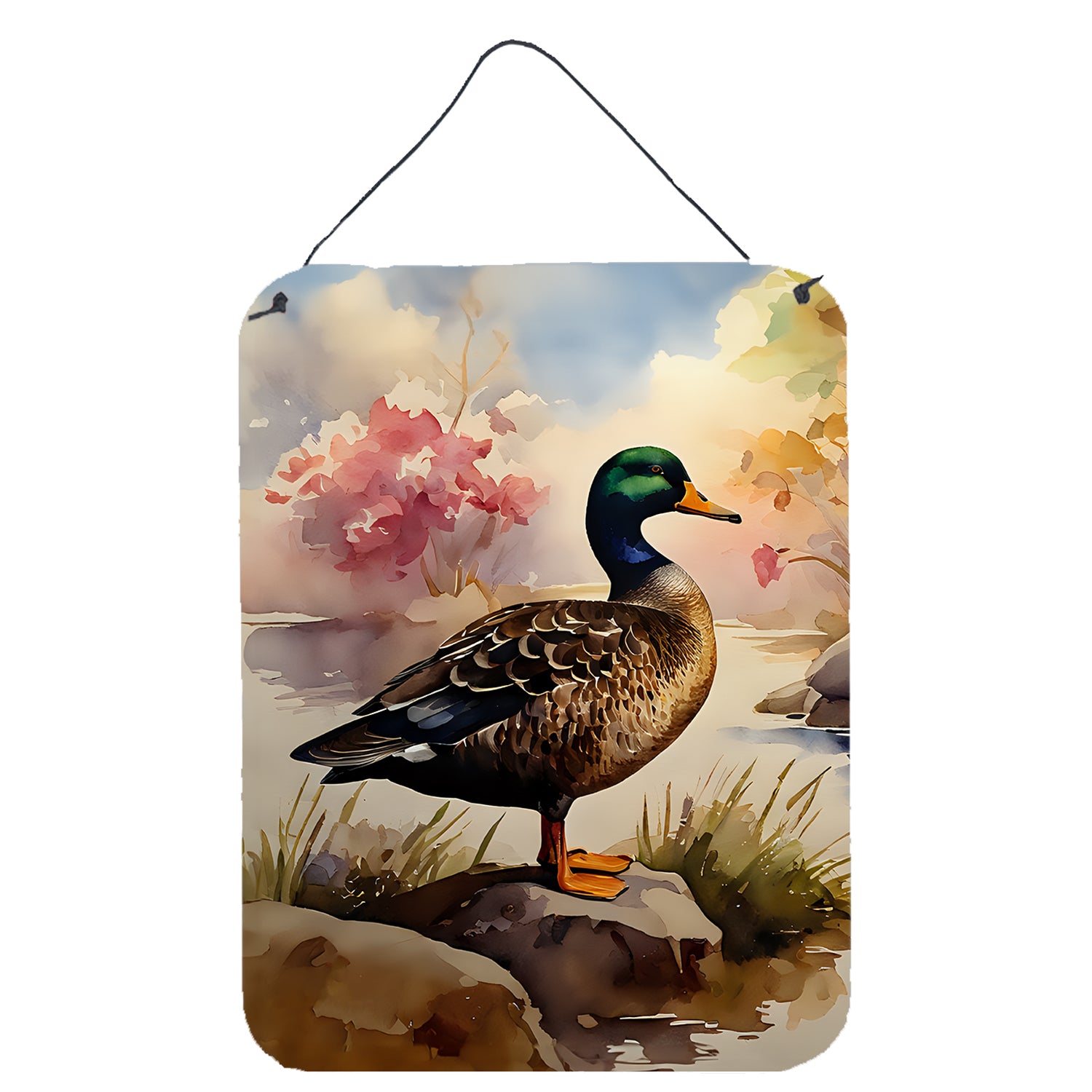 Buy this American Black Duck Wall or Door Hanging Prints