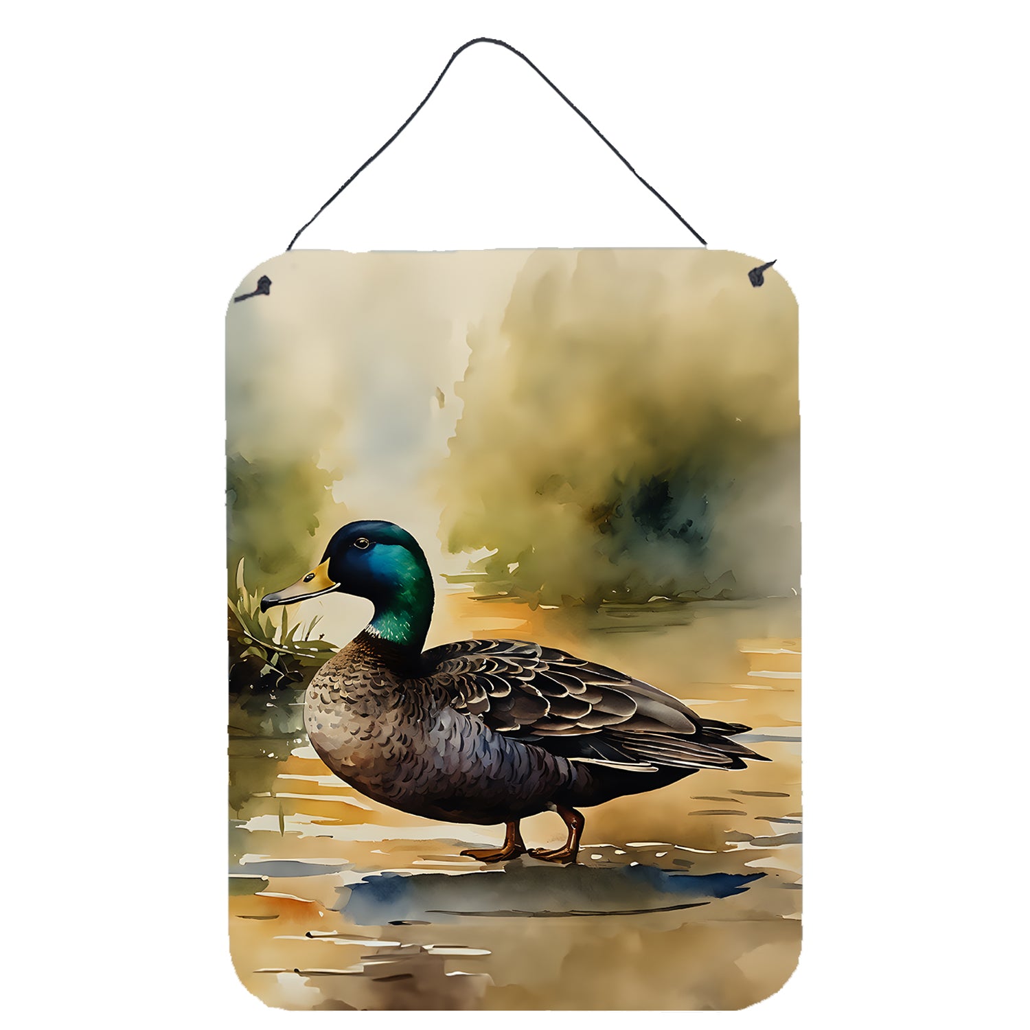 Buy this American Black Duck Wall or Door Hanging Prints