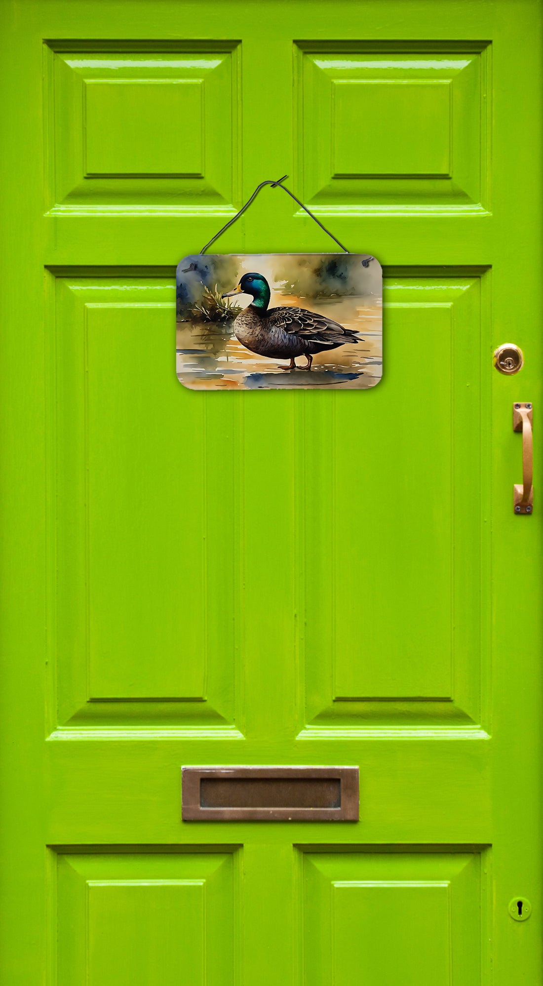 American Black Duck Wall or Door Hanging Prints