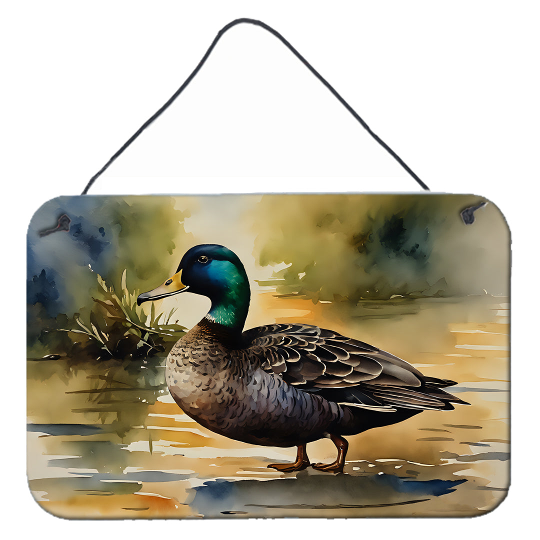 Buy this American Black Duck Wall or Door Hanging Prints