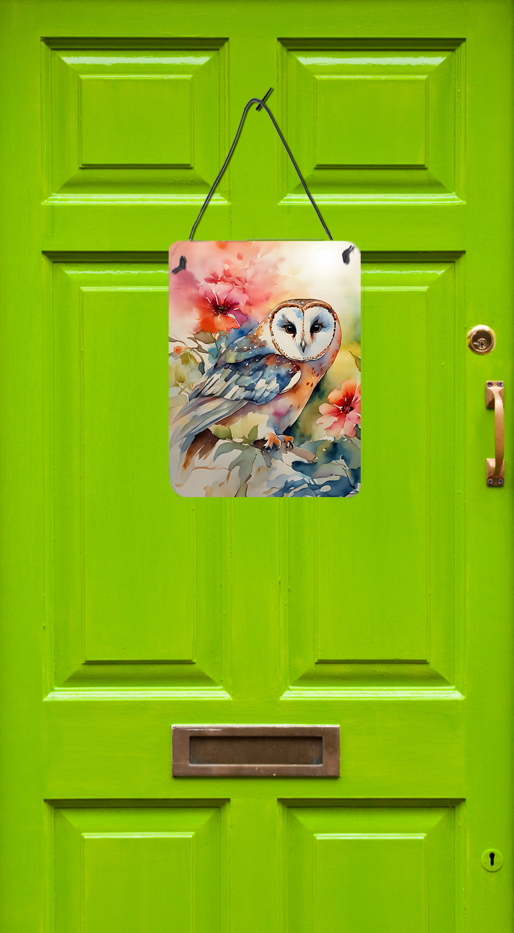 Buy this Barn Owl Wall or Door Hanging Prints