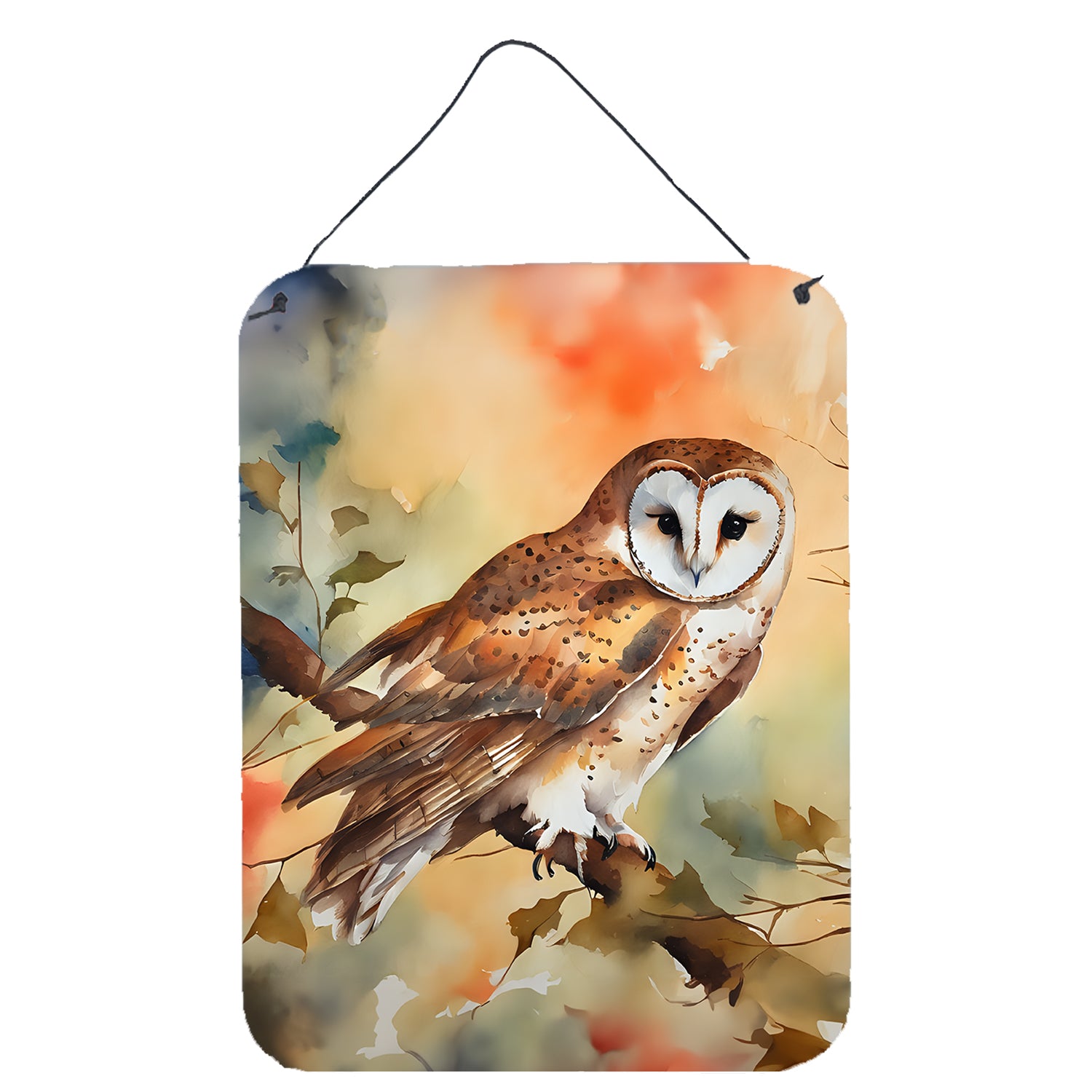 Buy this Barn Owl Wall or Door Hanging Prints