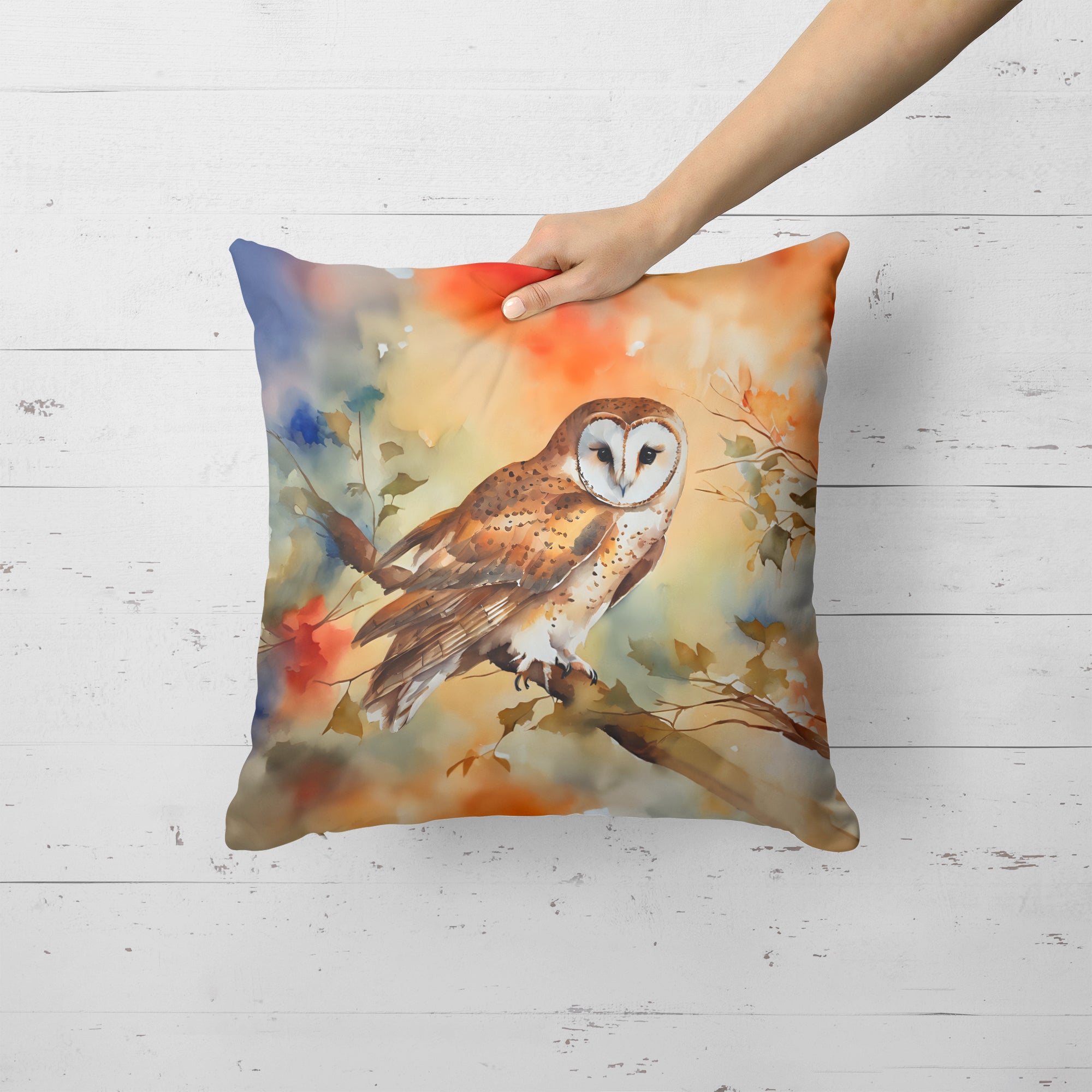 Buy this Barn Owl Throw Pillow