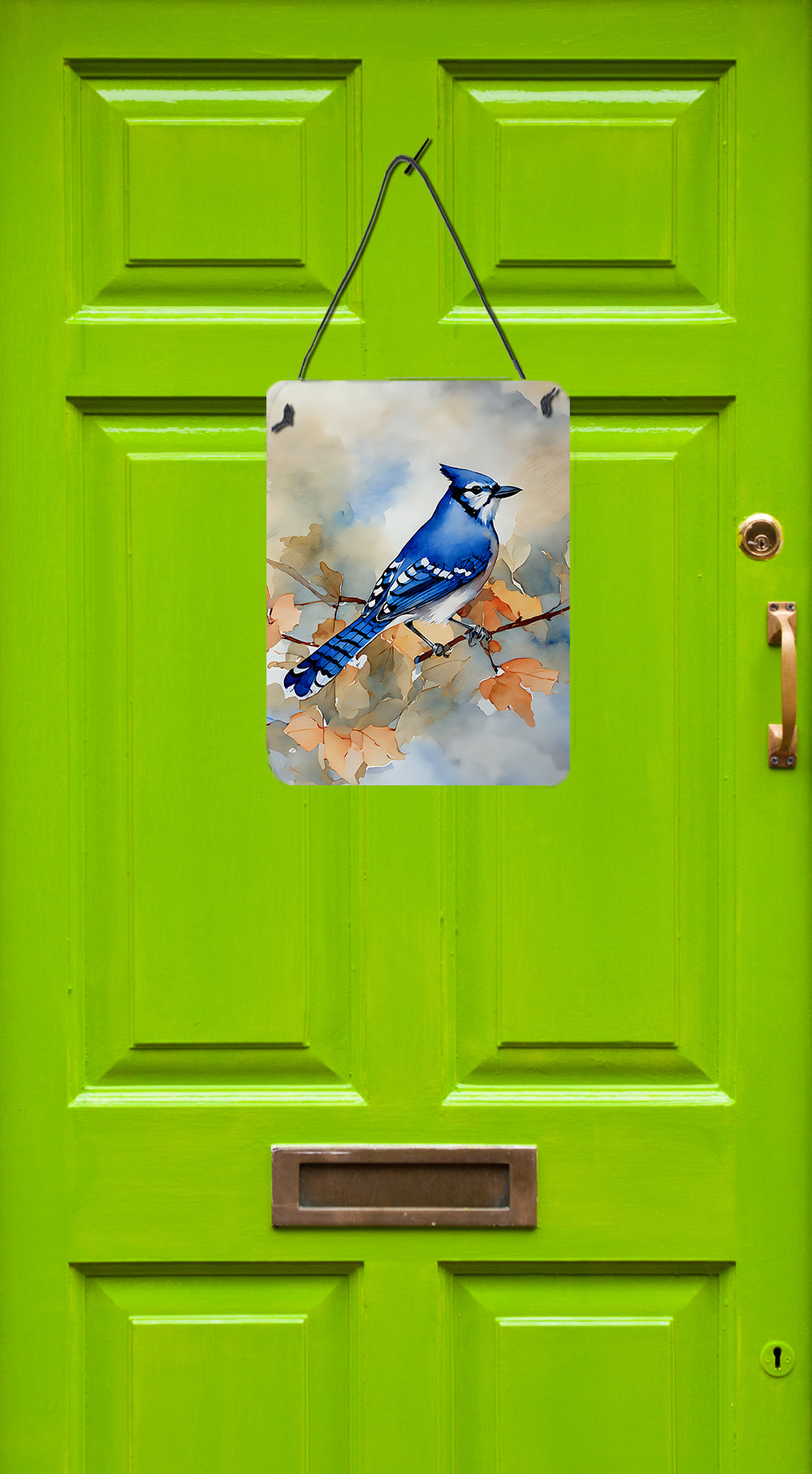 Buy this Blue Jay Wall or Door Hanging Prints