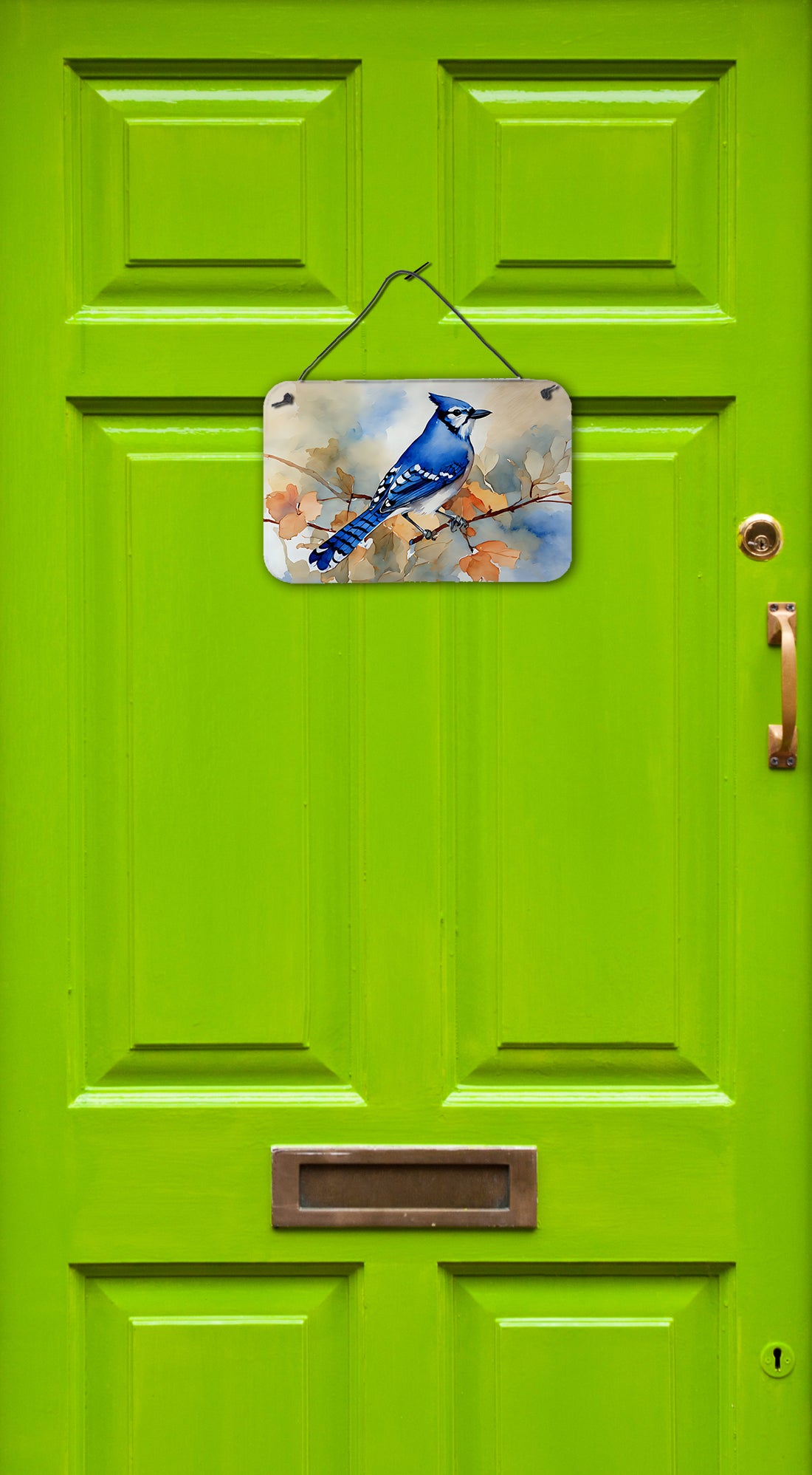 Buy this Blue Jay Wall or Door Hanging Prints