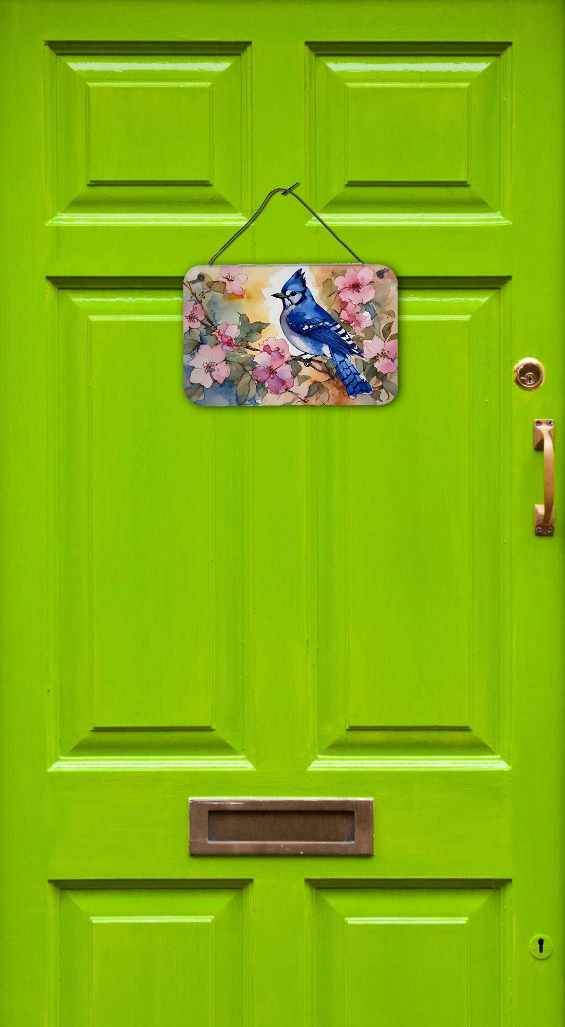 Buy this Blue Jay Wall or Door Hanging Prints