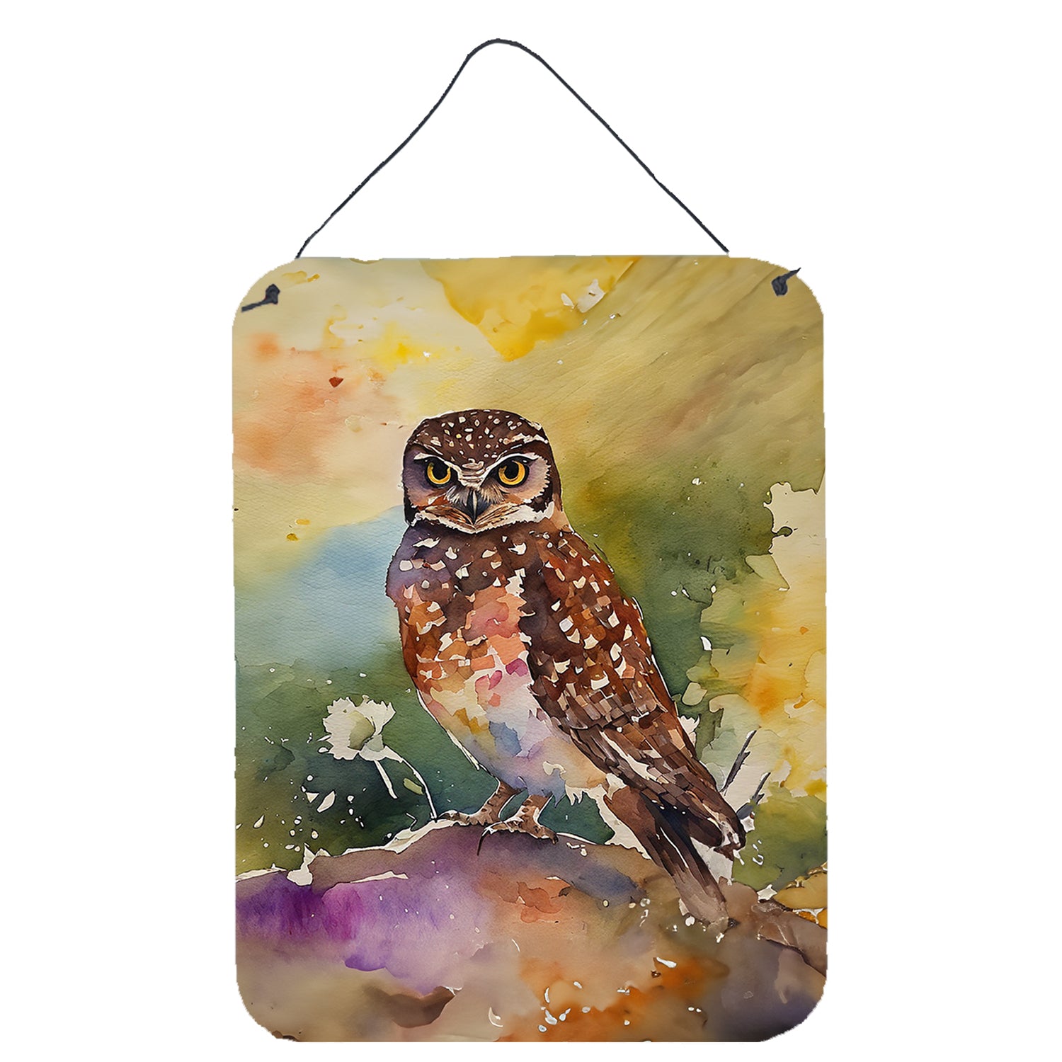 Buy this Burrowing Owl Wall or Door Hanging Prints