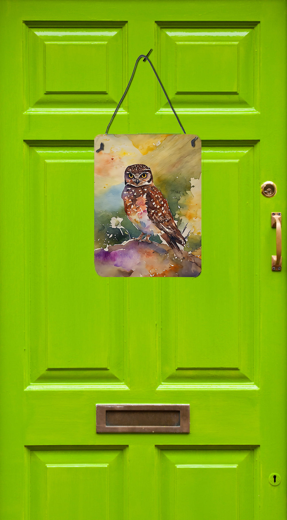 Buy this Burrowing Owl Wall or Door Hanging Prints