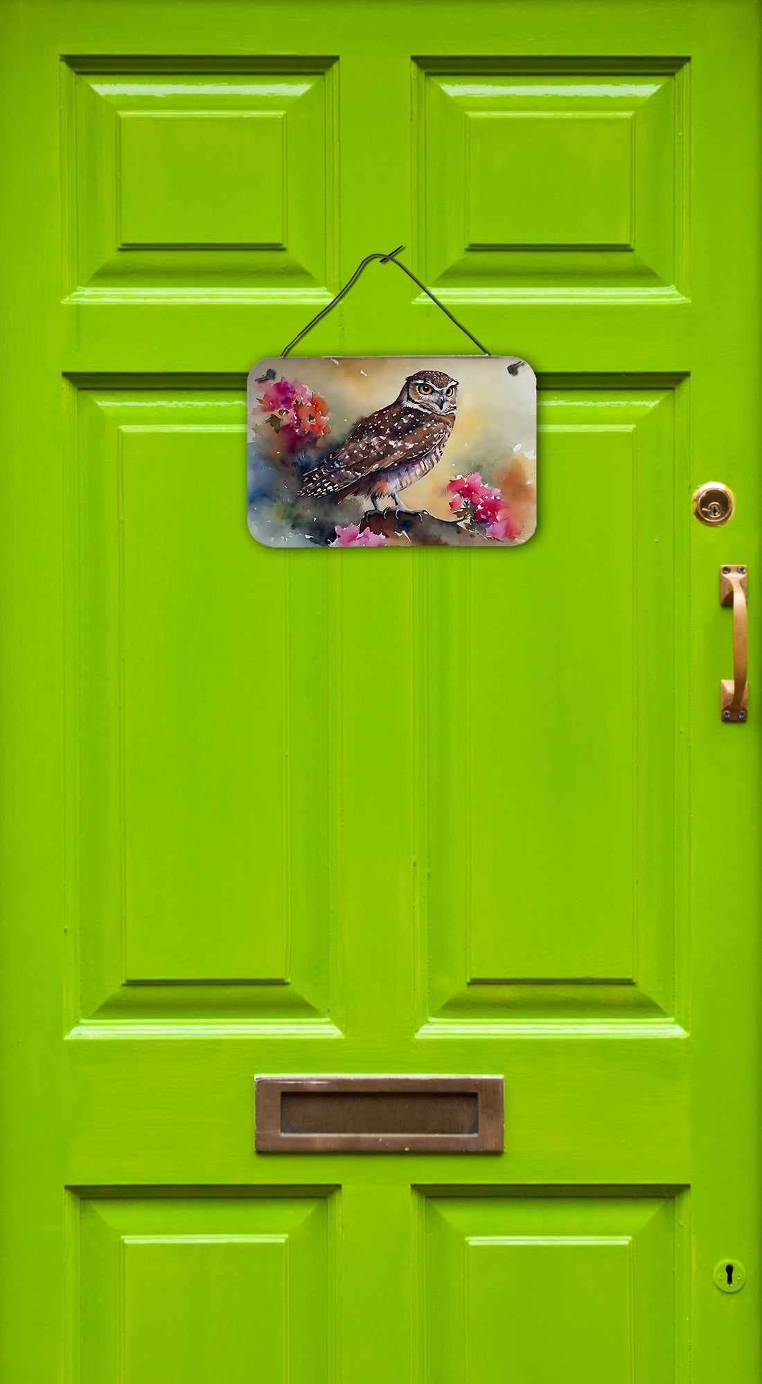 Buy this Burrowing Owl Wall or Door Hanging Prints