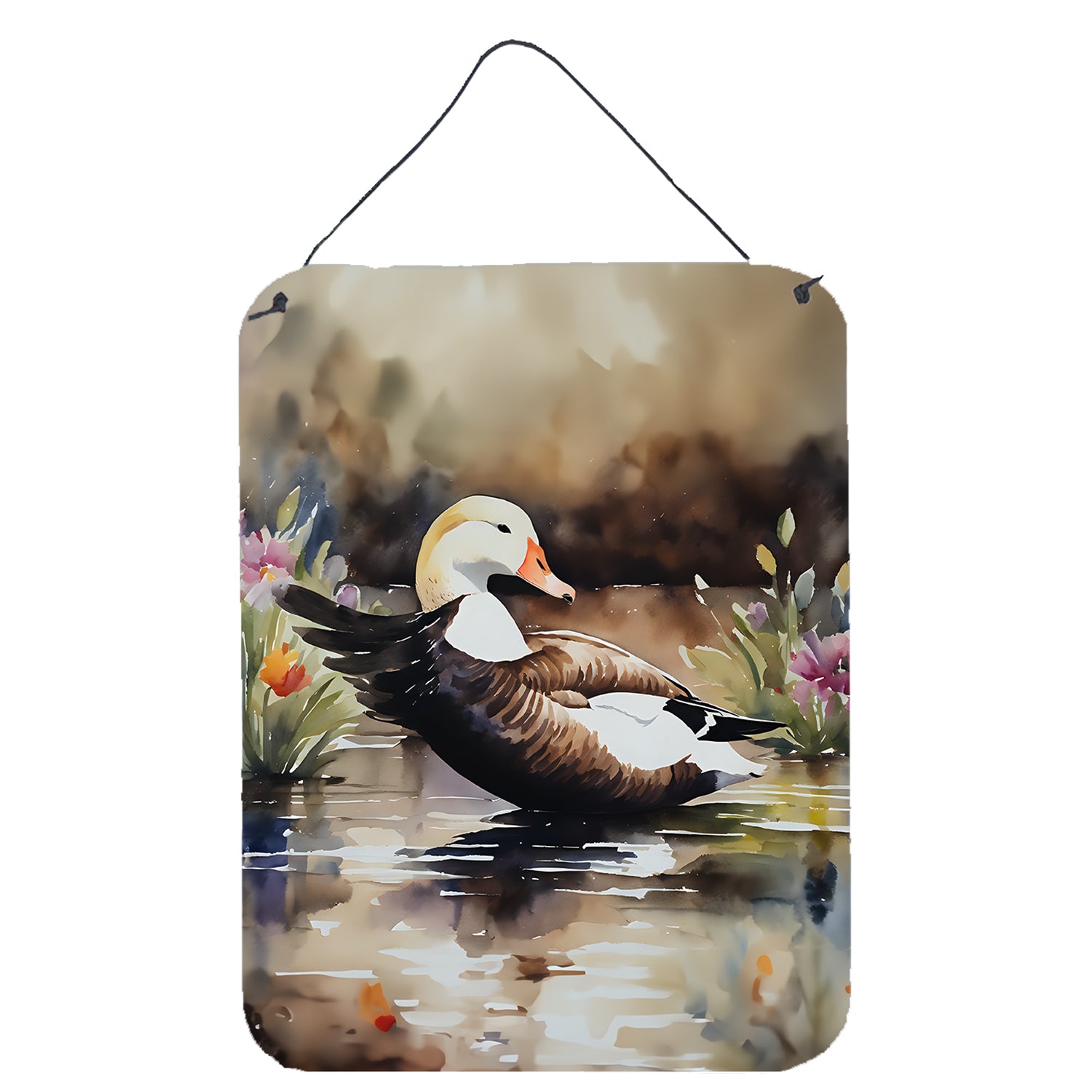 Buy this Common Eider Duck Wall or Door Hanging Prints