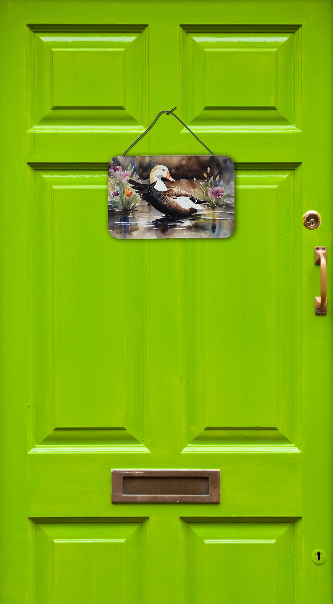 Buy this Common Eider Duck Wall or Door Hanging Prints