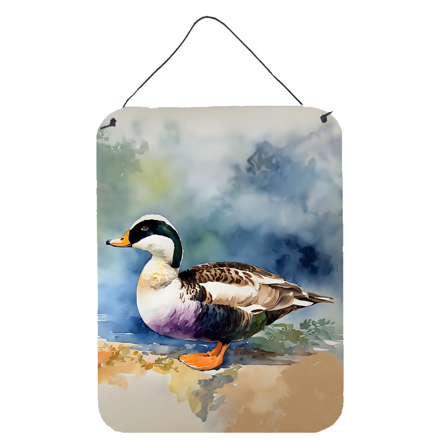 Buy this Common Eider Duck Wall or Door Hanging Prints