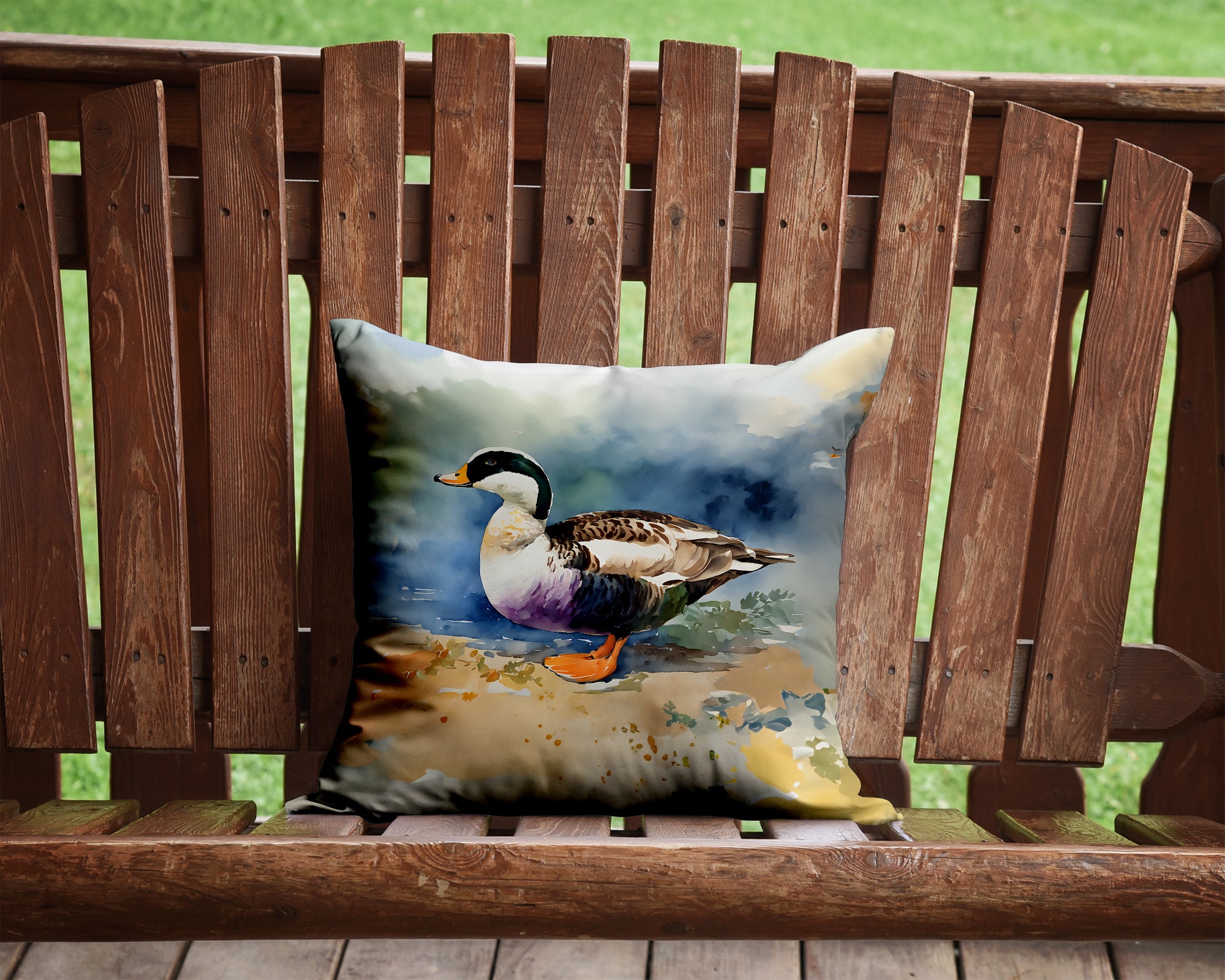 Buy this Common Eider Duck Throw Pillow