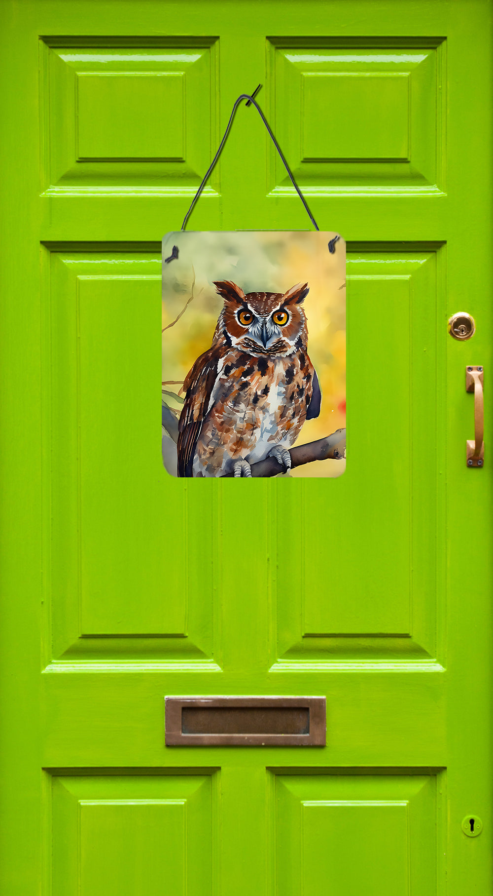 Buy this Eastern Screech Owl Wall or Door Hanging Prints