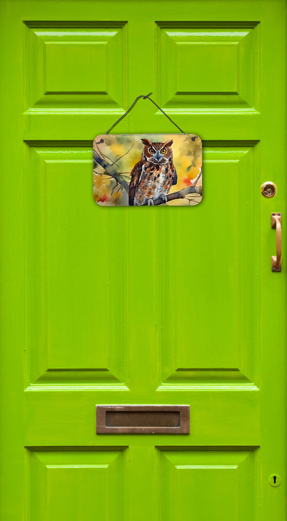 Buy this Eastern Screech Owl Wall or Door Hanging Prints