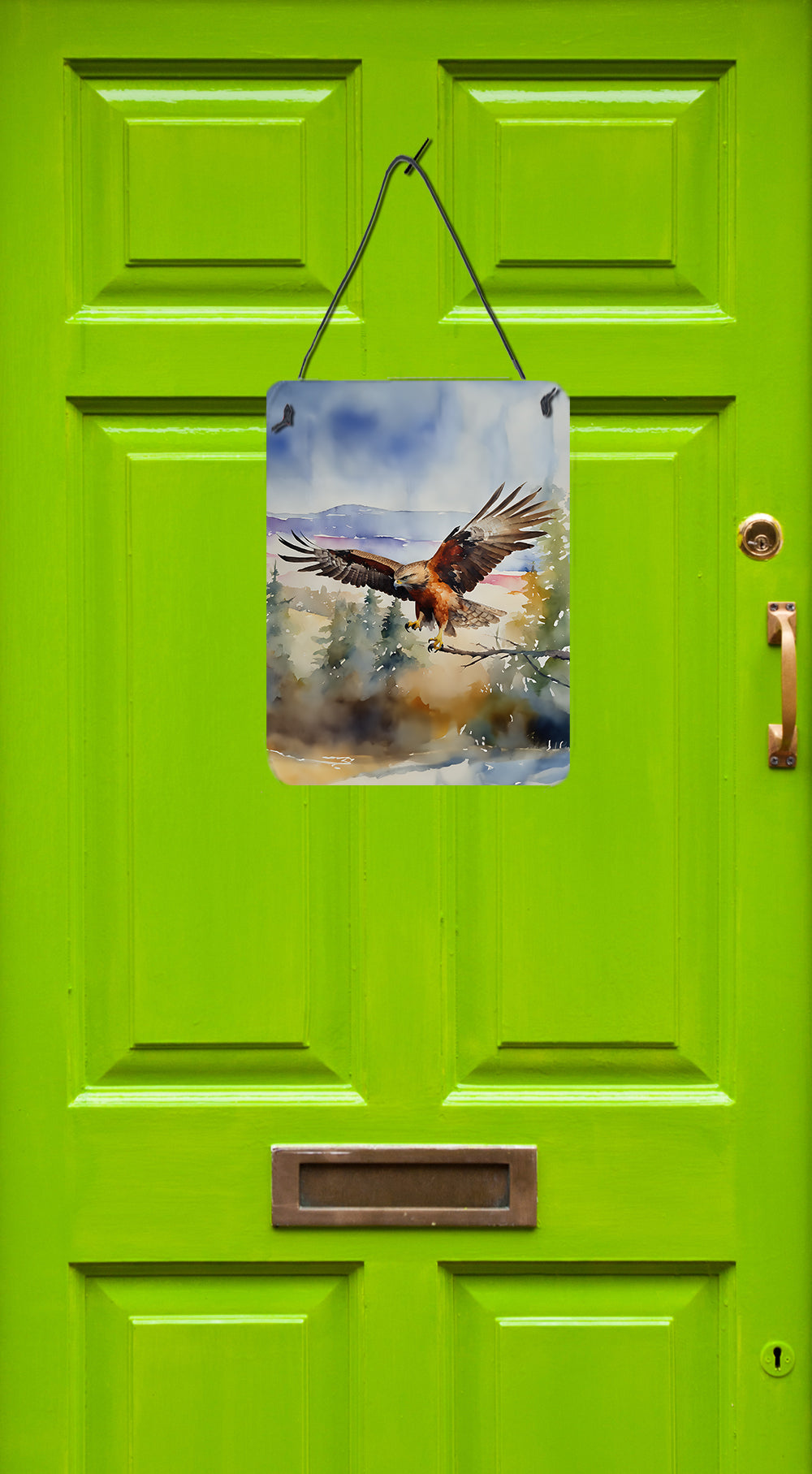 Buy this Hawk Wall or Door Hanging Prints