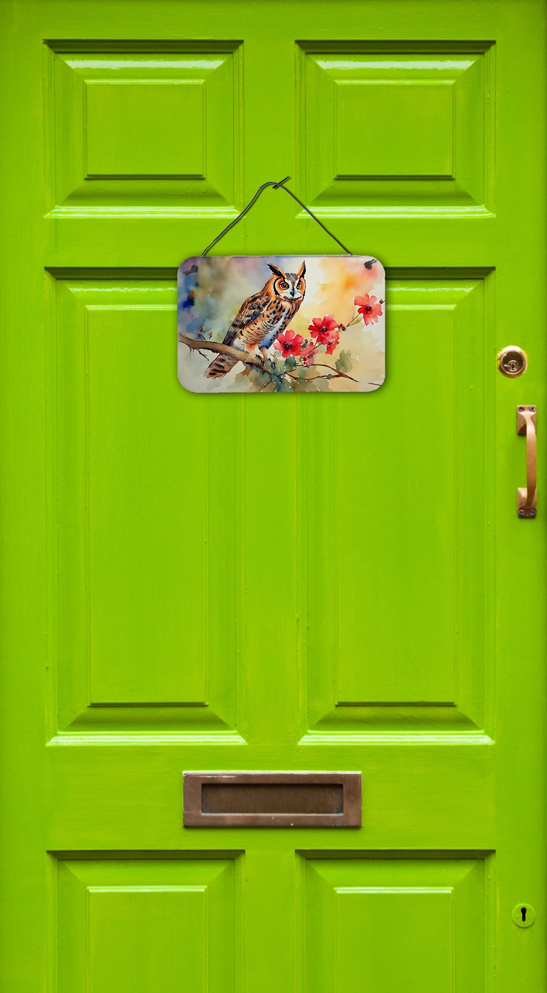 Long-Eared Owl Wall or Door Hanging Prints