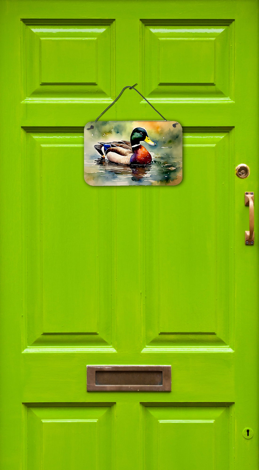 Buy this Mallard Wall or Door Hanging Prints