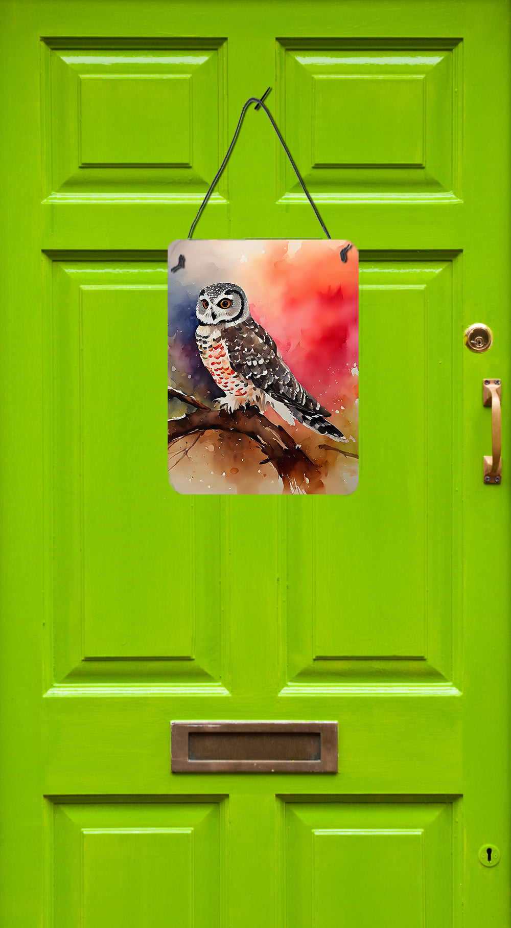 Buy this Northern Hawk Owl Wall or Door Hanging Prints