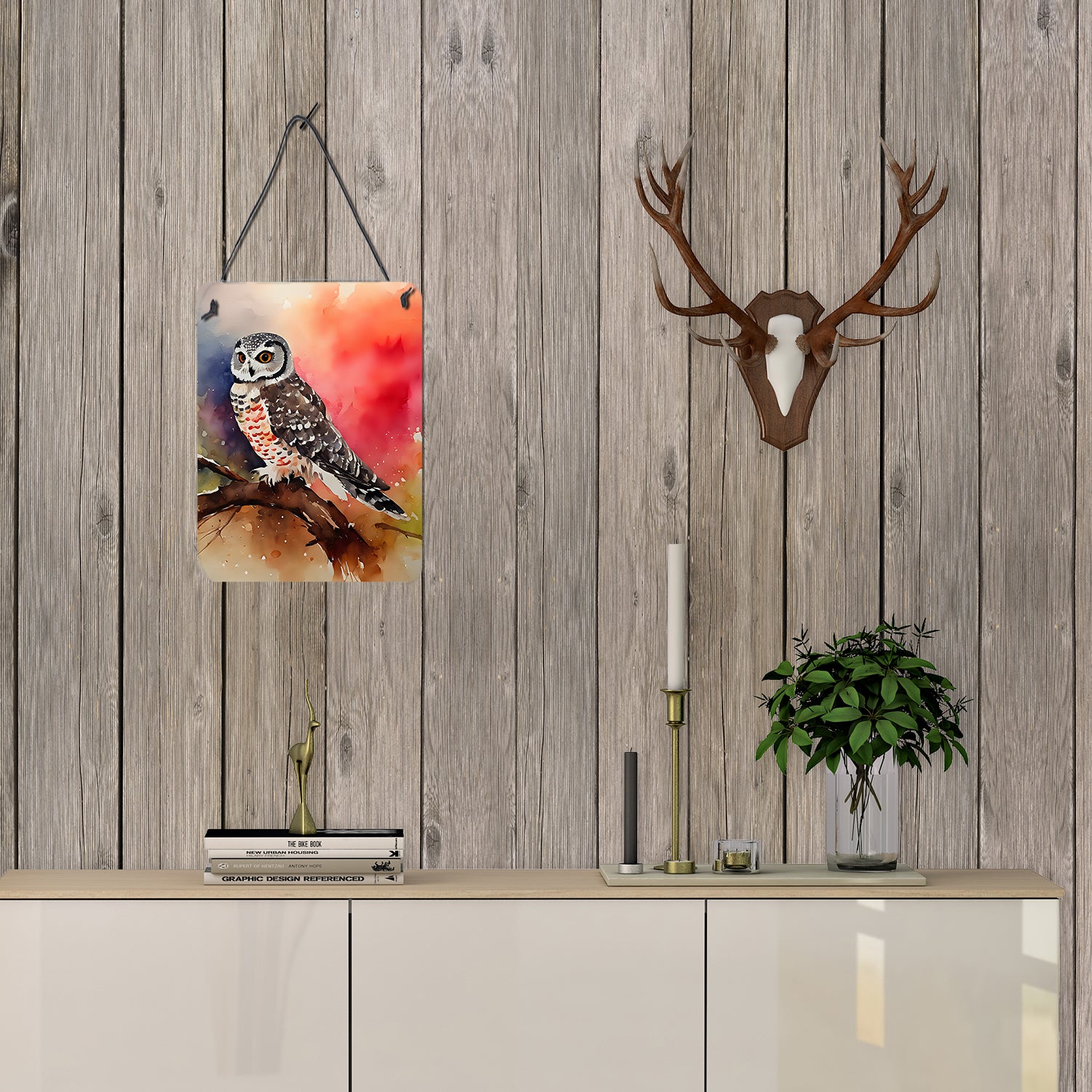 Northern Hawk Owl Wall or Door Hanging Prints