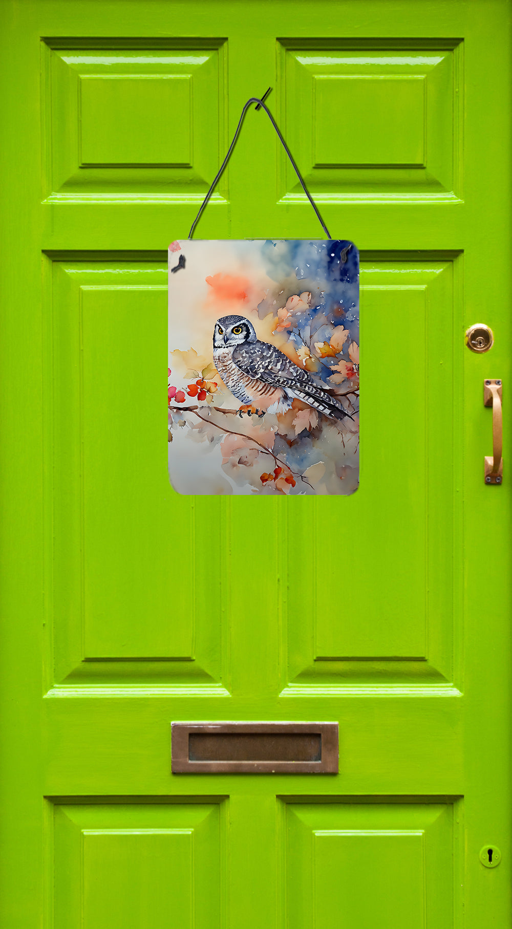 Buy this Northern Hawk Owl Wall or Door Hanging Prints