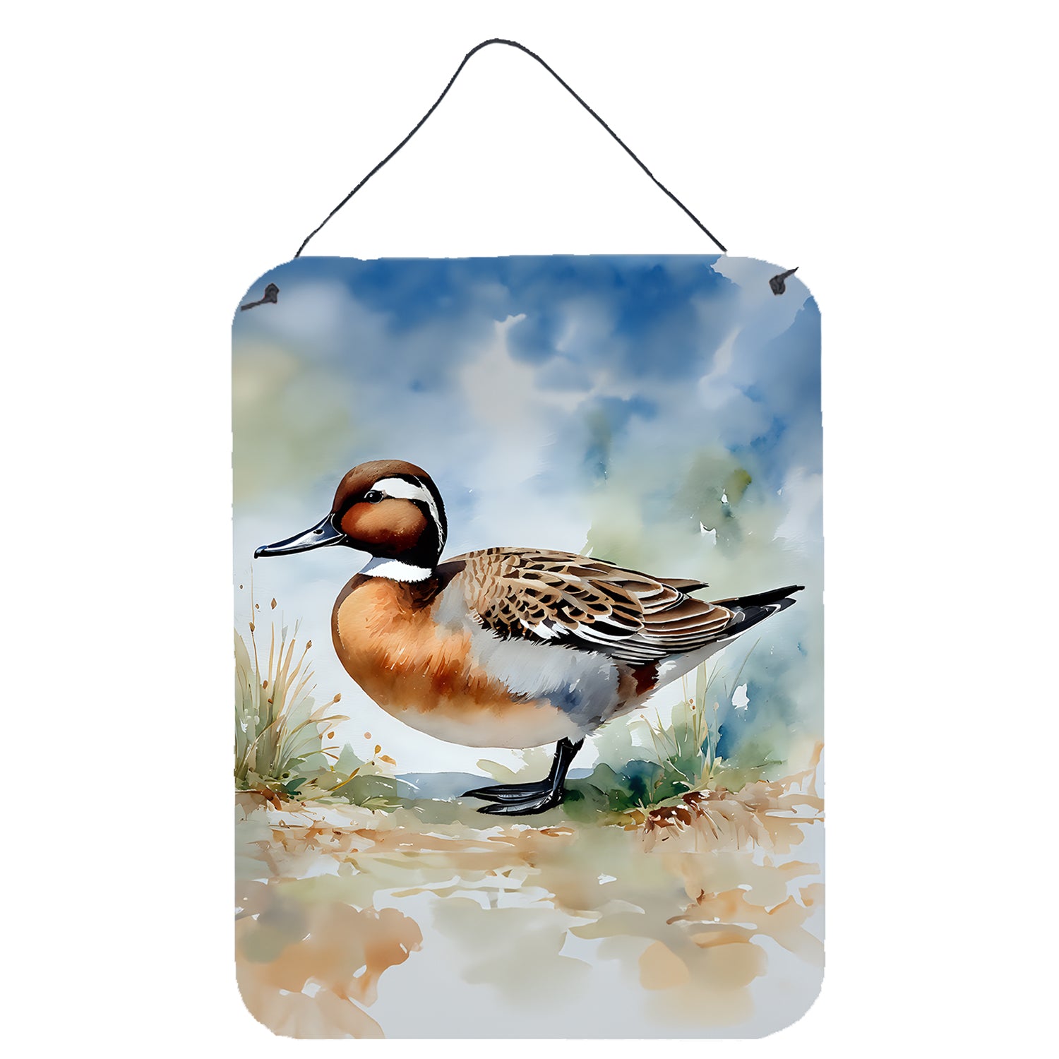 Buy this Northern Pintail Wall or Door Hanging Prints