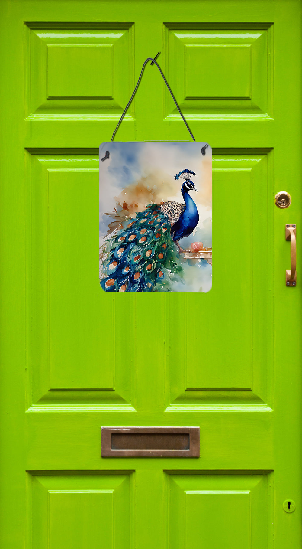 Buy this Peacock Wall or Door Hanging Prints