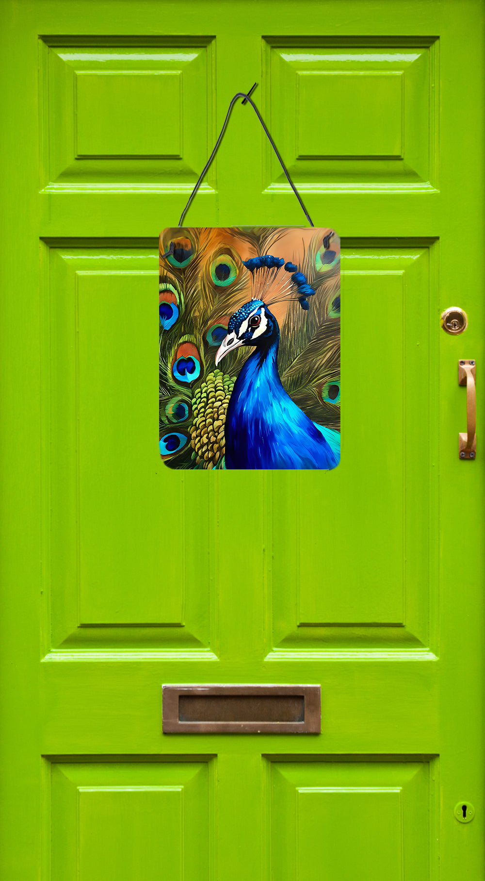 Buy this Peacock Wall or Door Hanging Prints