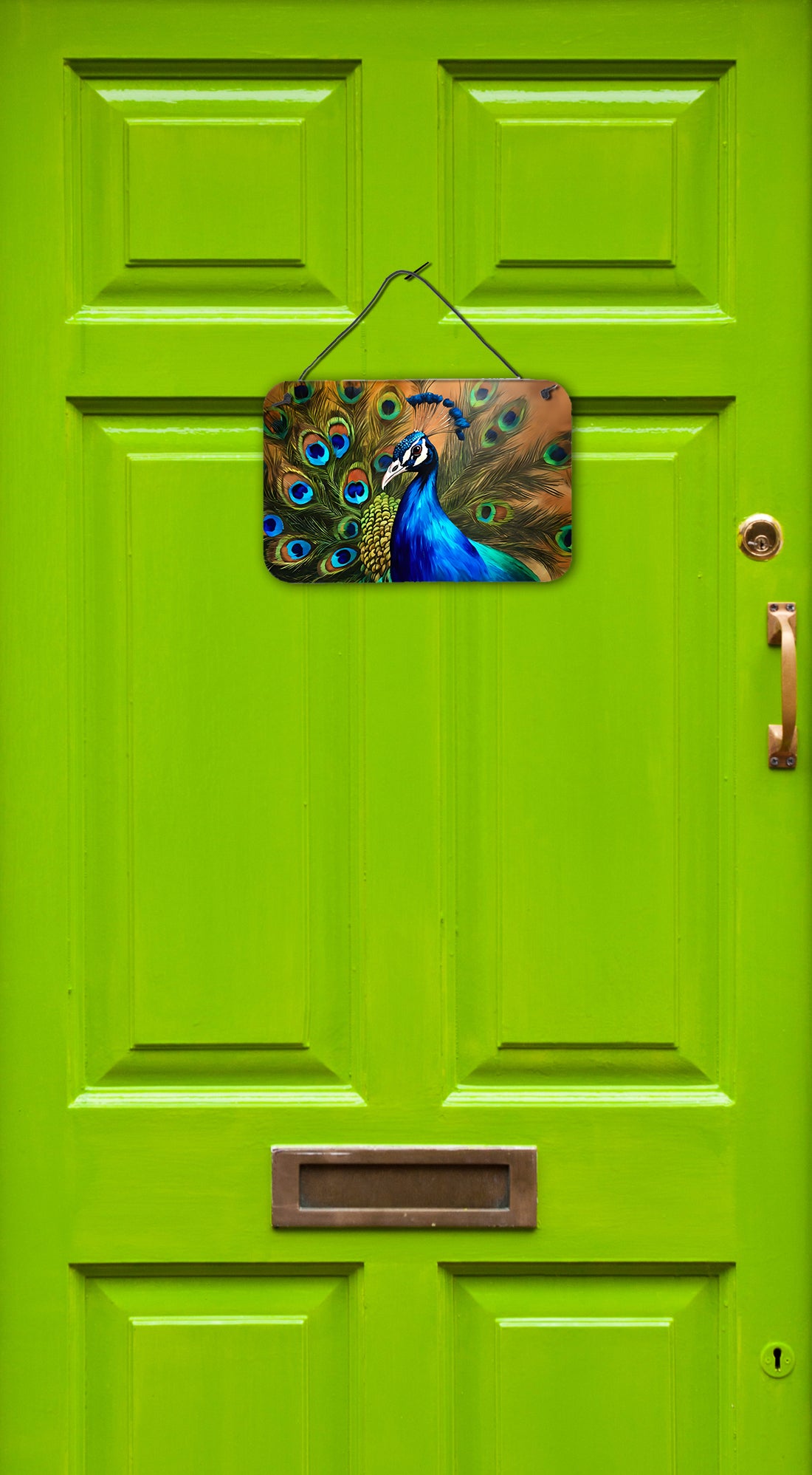 Buy this Peacock Wall or Door Hanging Prints