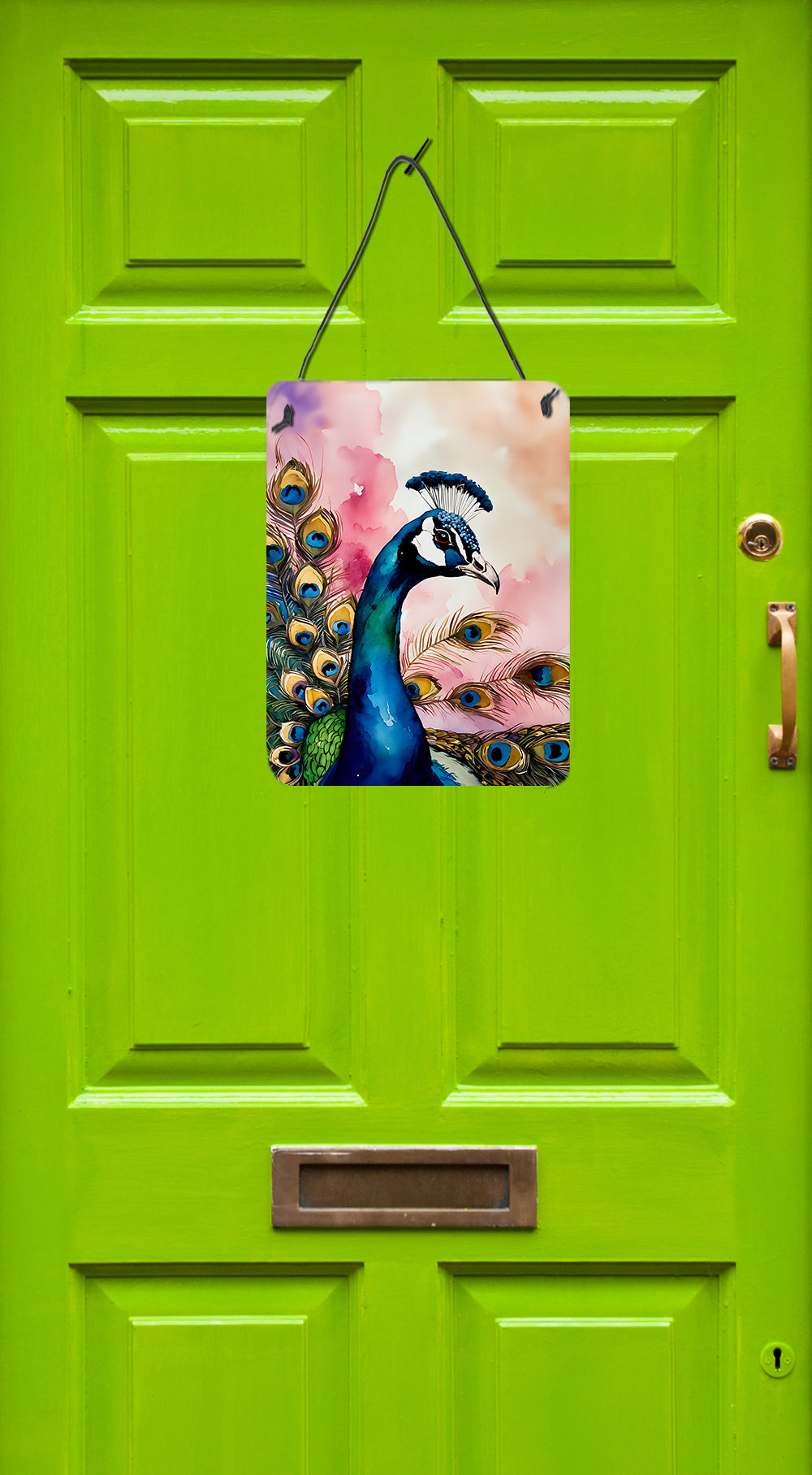 Buy this Peacock Wall or Door Hanging Prints