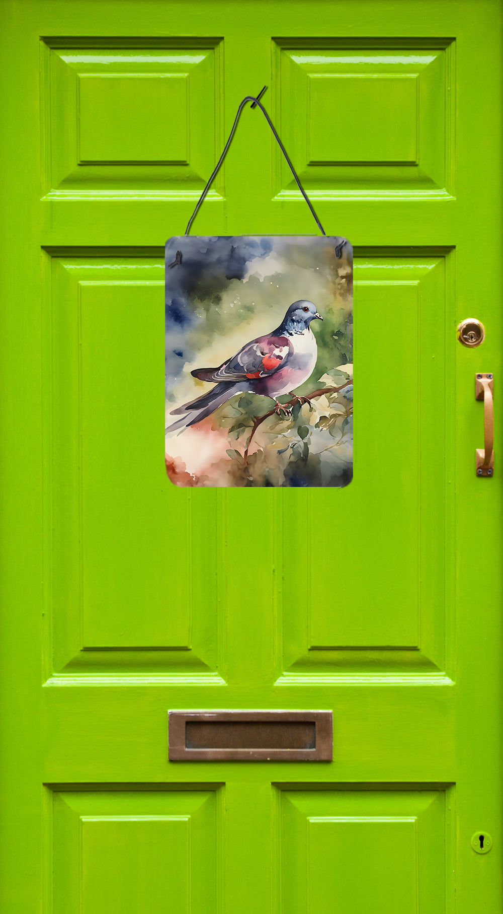 Buy this Pigeon Wall or Door Hanging Prints