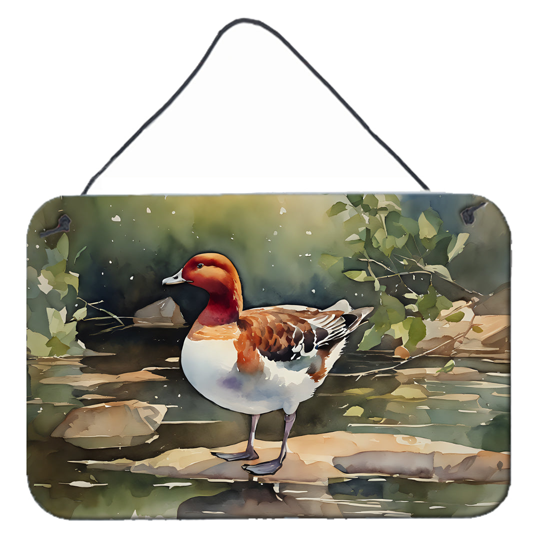 Buy this Redhead Duck Wall or Door Hanging Prints