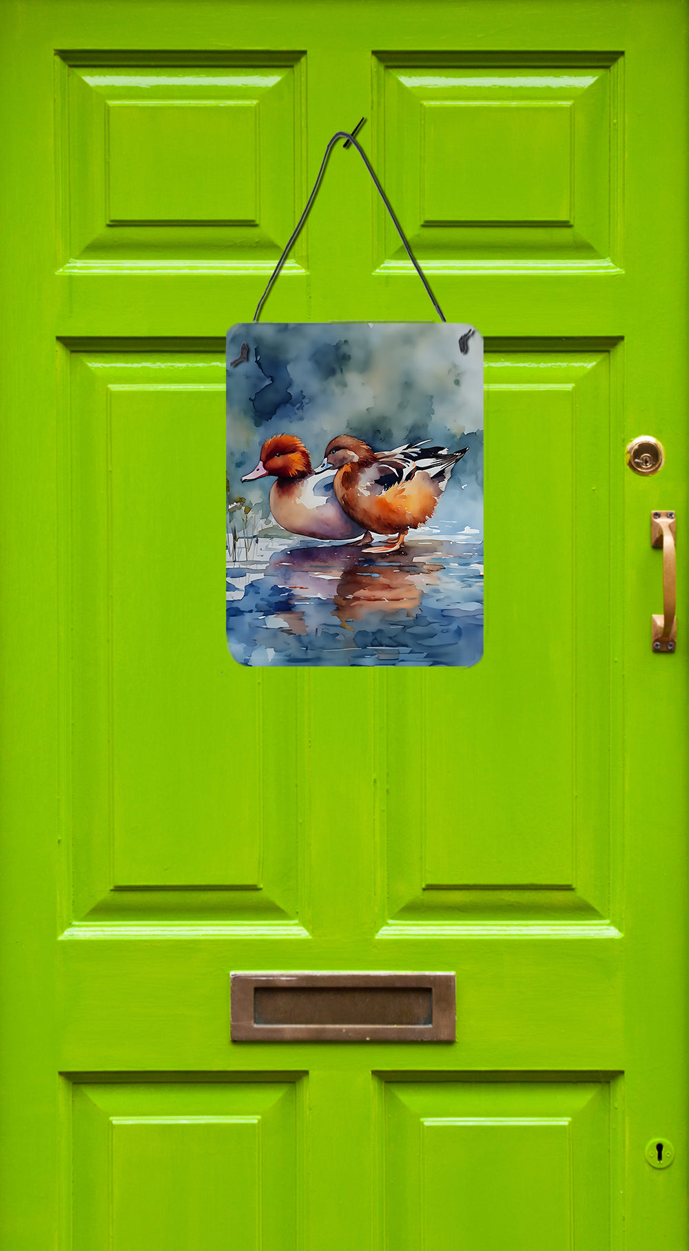 Buy this Redhead Duck Wall or Door Hanging Prints