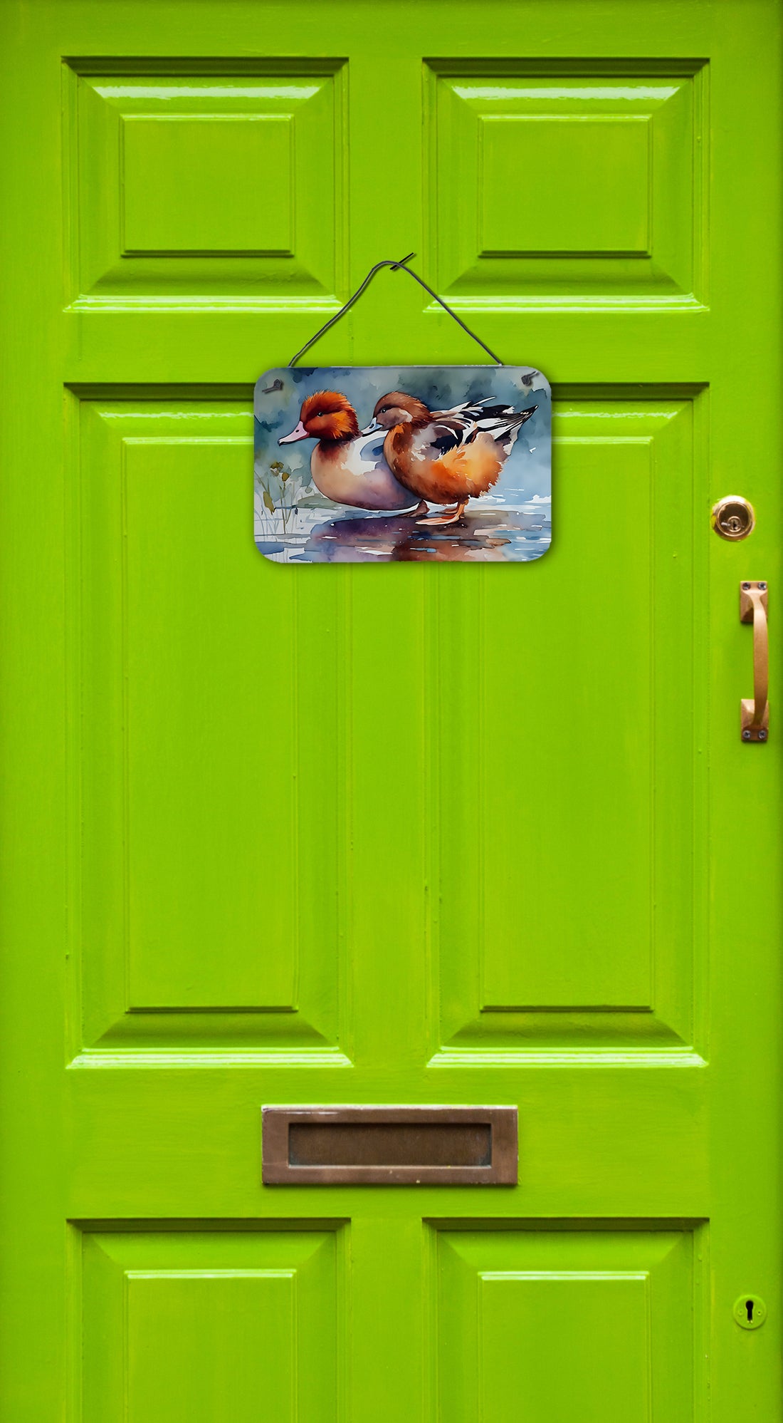 Buy this Redhead Duck Wall or Door Hanging Prints