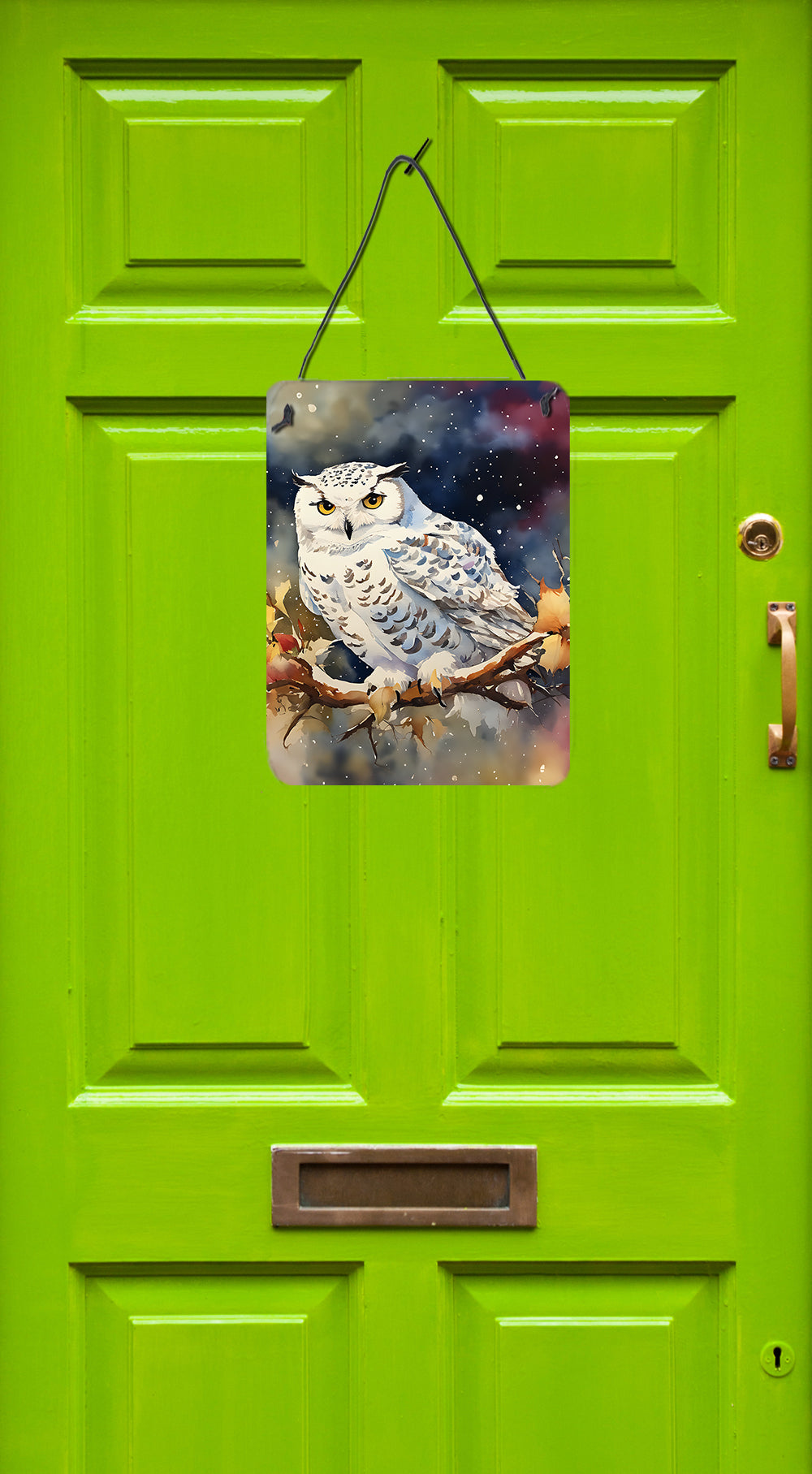 Buy this Snowy Owl Wall or Door Hanging Prints