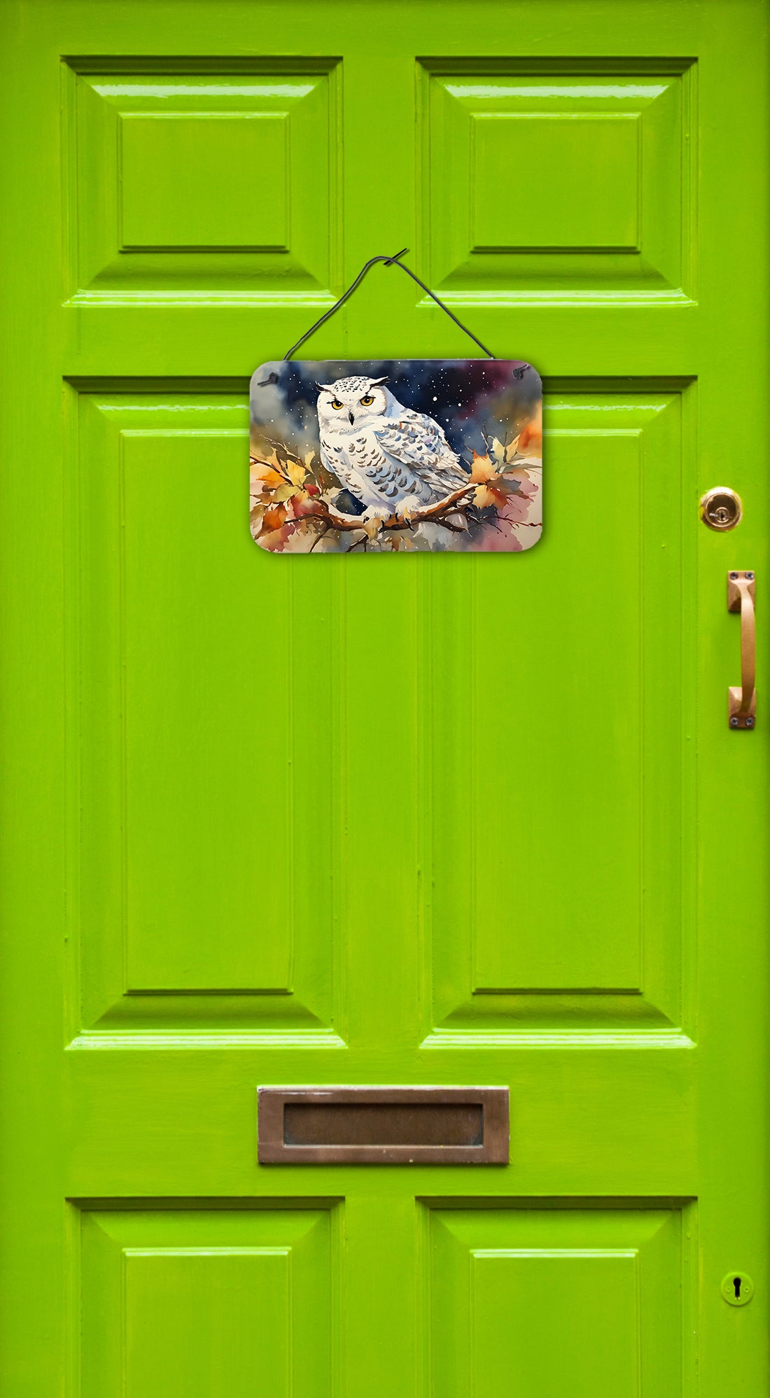 Buy this Snowy Owl Wall or Door Hanging Prints