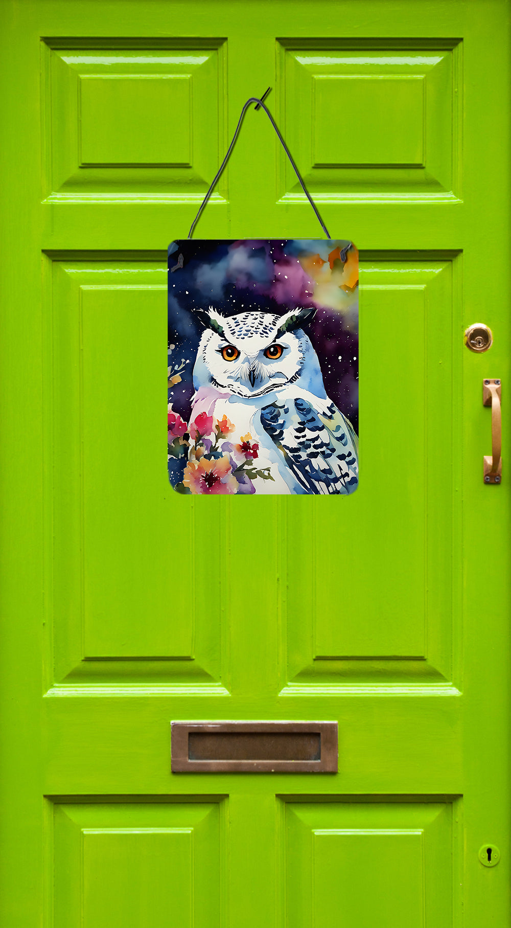 Buy this Snowy Owl Wall or Door Hanging Prints