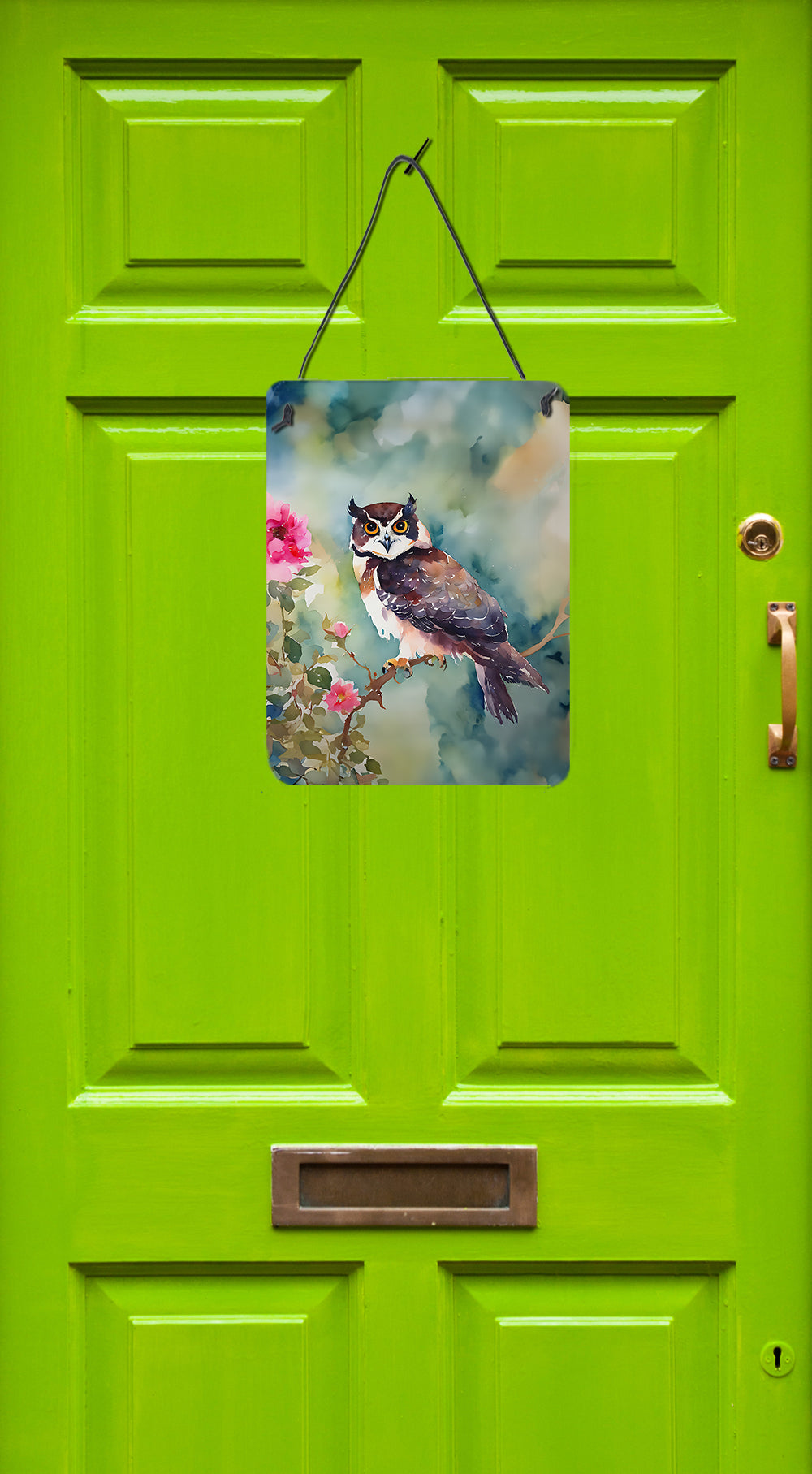 Buy this Spectacled Owl Wall or Door Hanging Prints