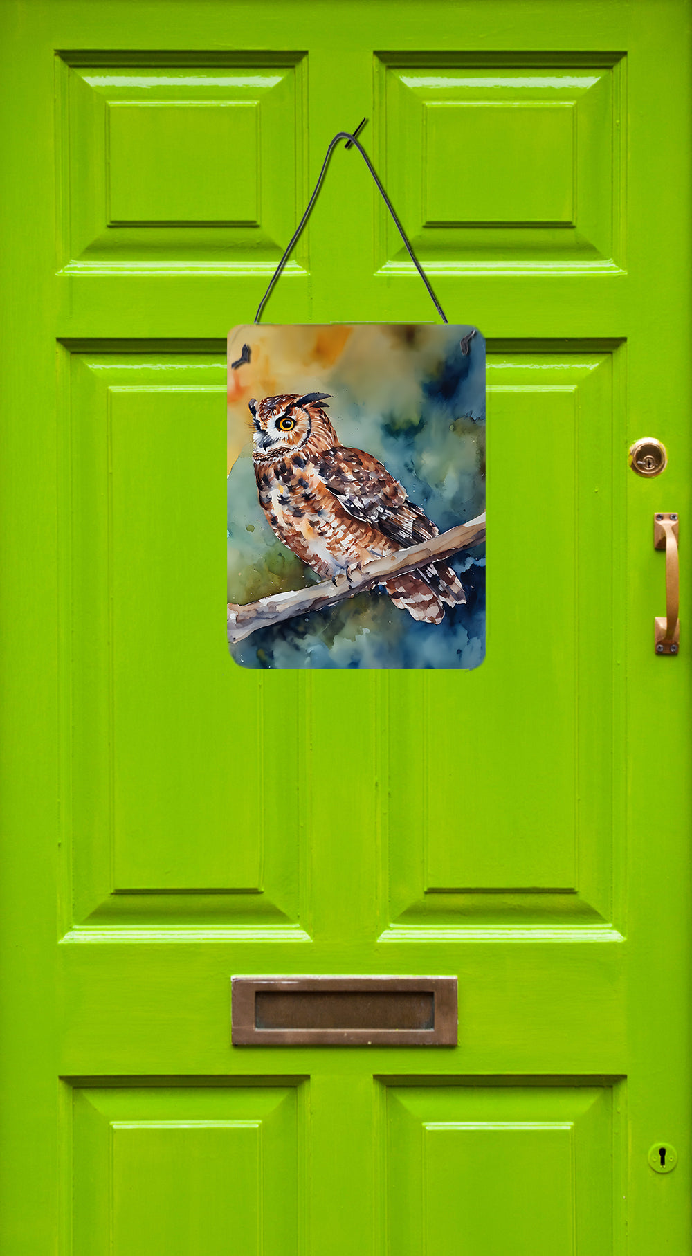 Buy this Tawny Owl Wall or Door Hanging Prints