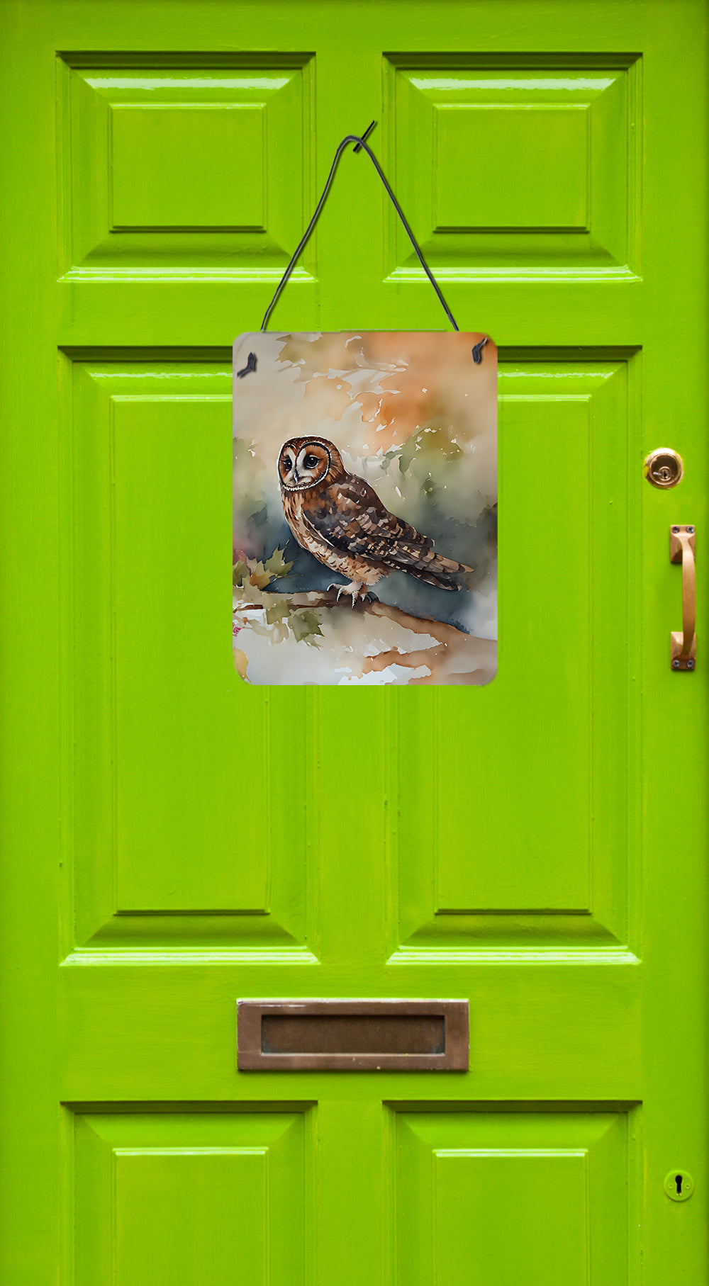 Buy this Tawny Owl Wall or Door Hanging Prints