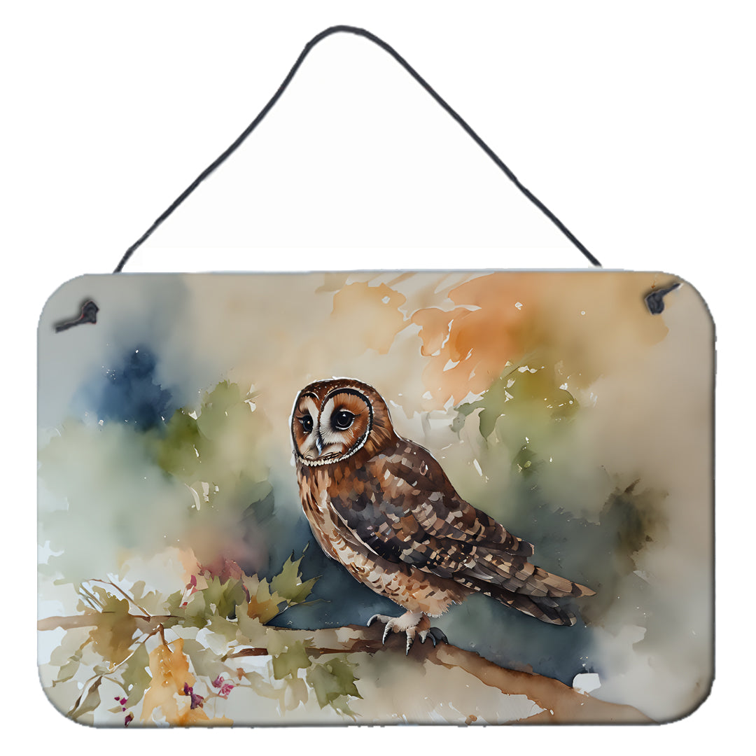 Buy this Tawny Owl Wall or Door Hanging Prints