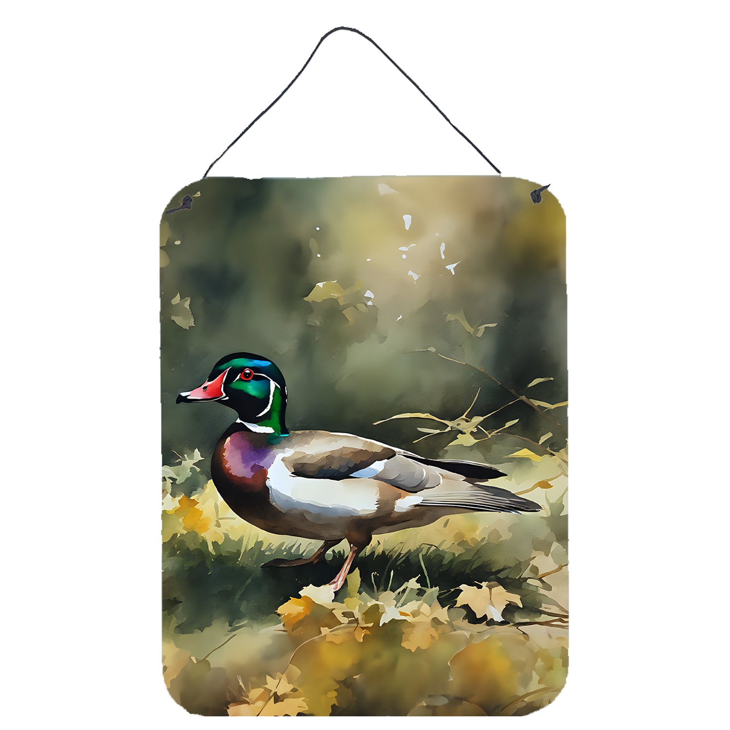 Buy this Wood Duck Wall or Door Hanging Prints