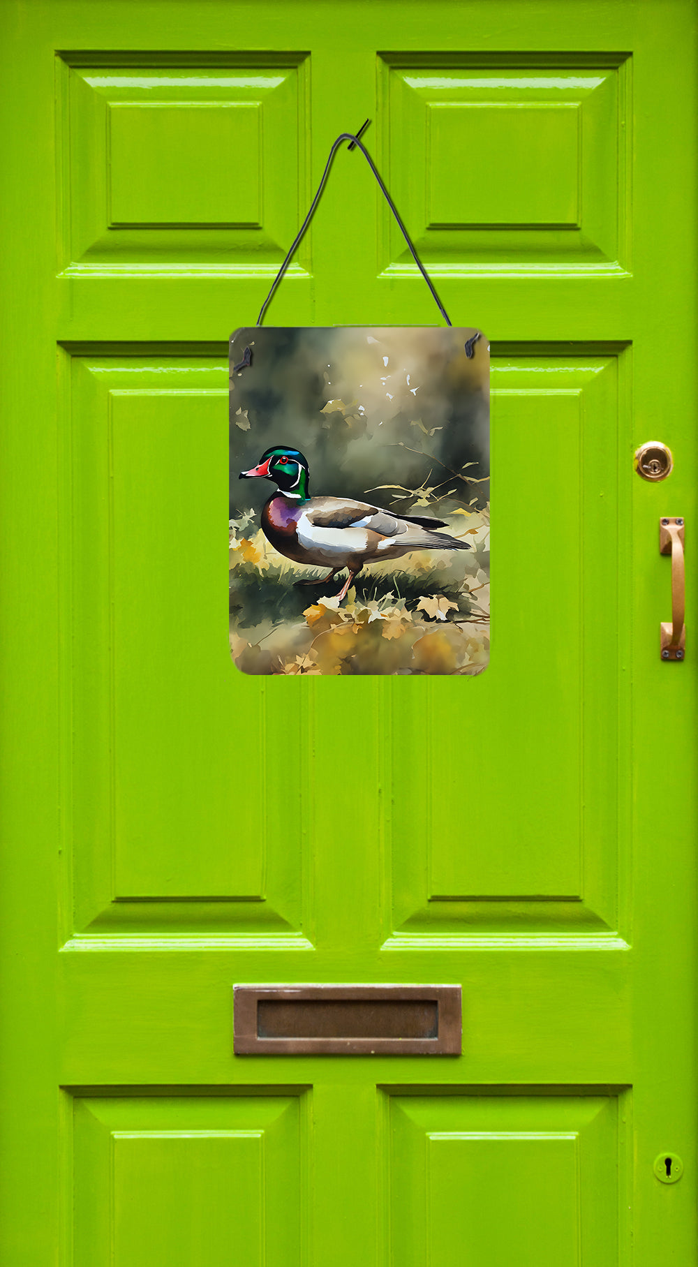 Buy this Wood Duck Wall or Door Hanging Prints