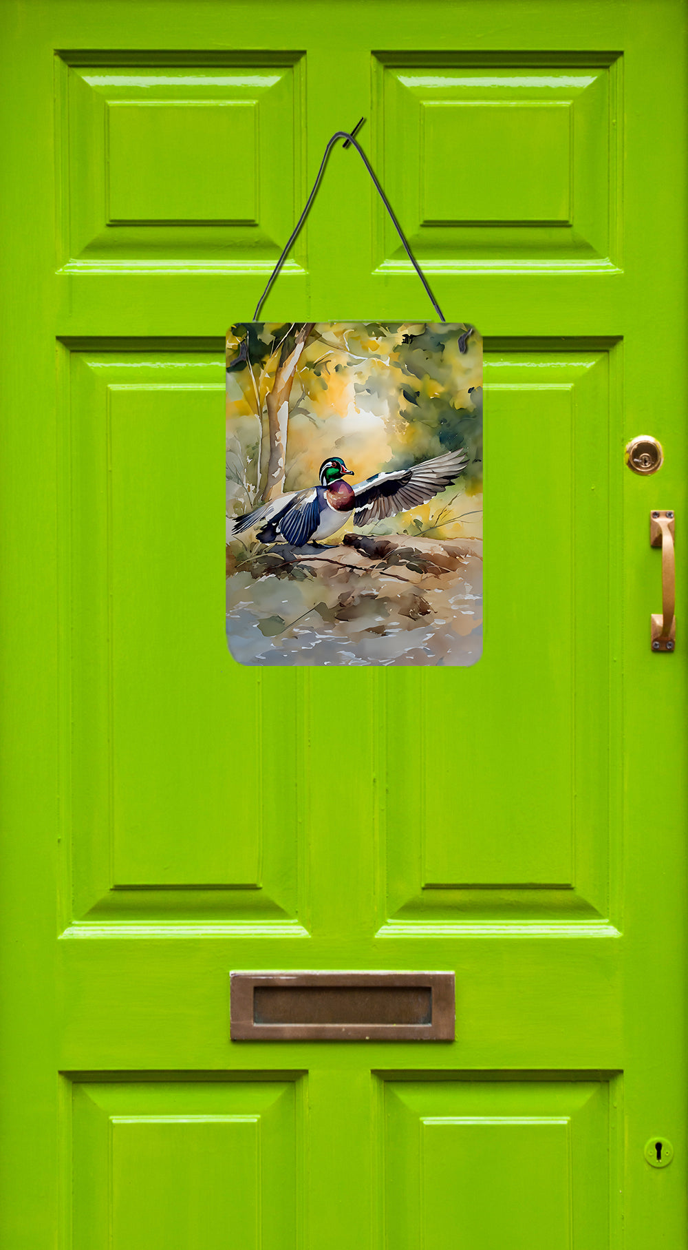 Buy this Wood Duck Wall or Door Hanging Prints